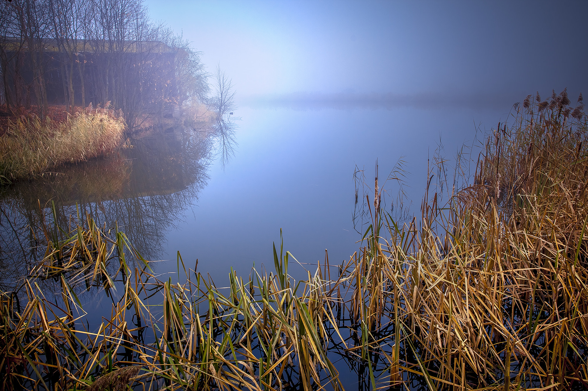 Sigma 24-35mm F2 DG HSM Art sample photo. Silence photography