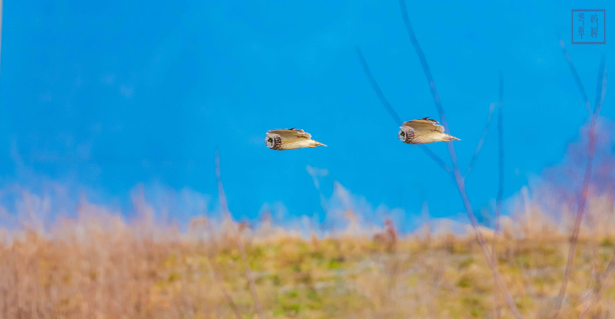 Sigma 150-600mm F5-6.3 DG OS HSM | S sample photo. Pano photography