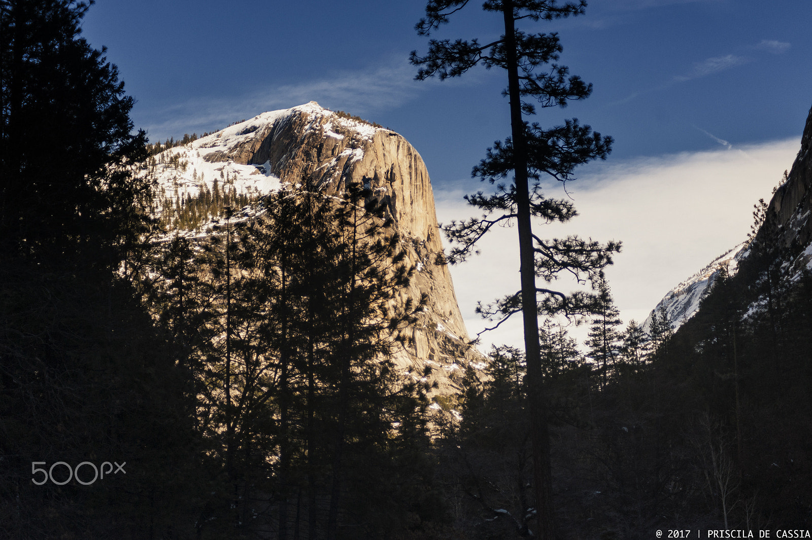 Nikon D700 sample photo. Half dome photography