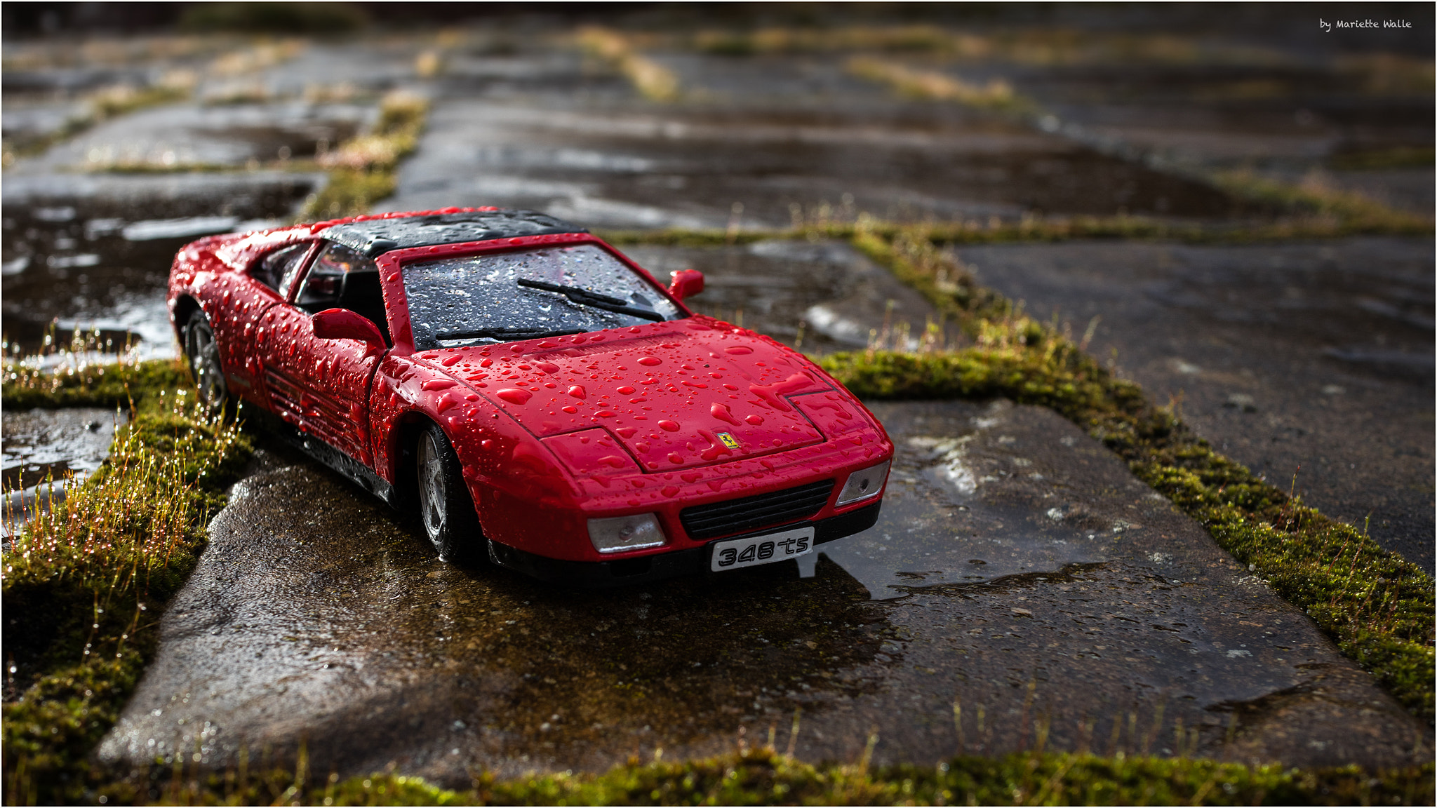 Canon EOS M5 + Canon EF-M 22mm F2 STM sample photo. Red car in the rain photography