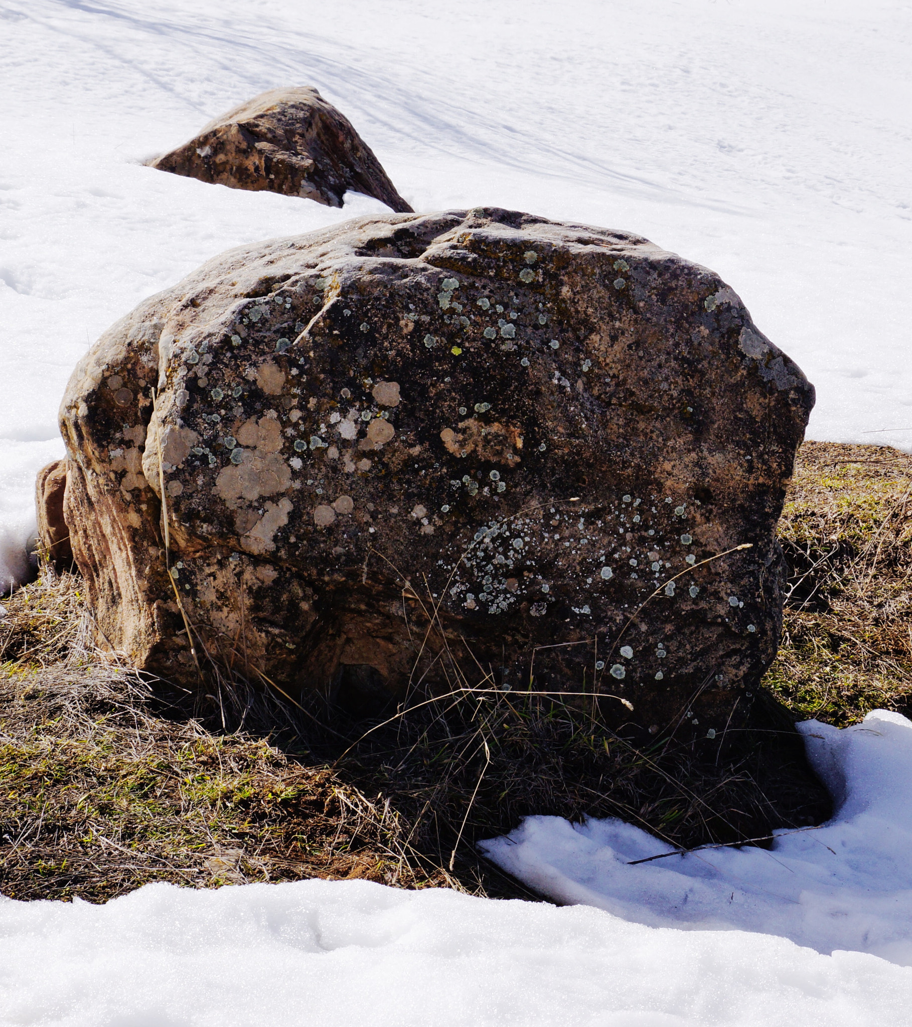 Sony DT 18-250mm F3.5-6.3 sample photo