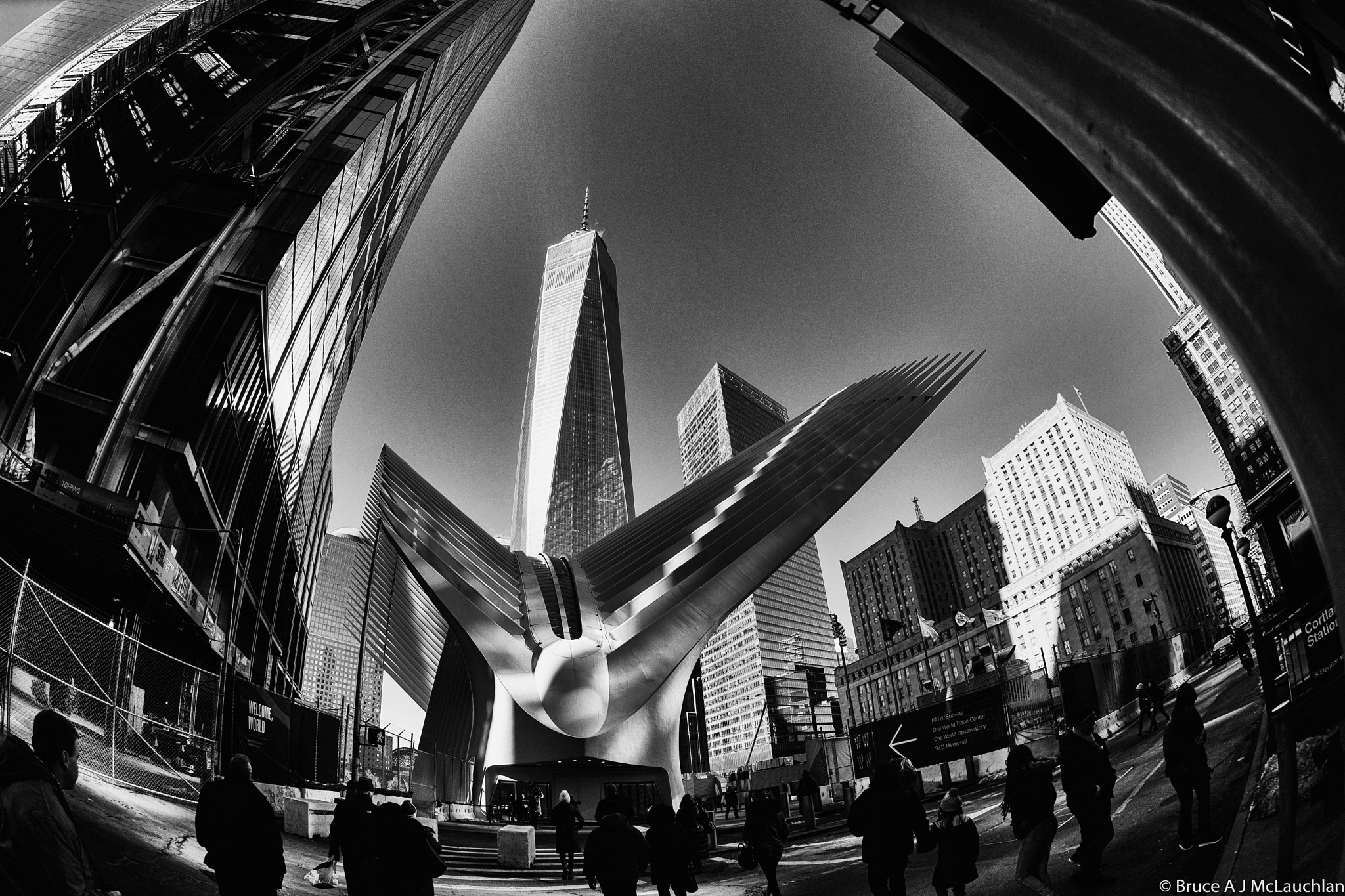 Nikon D5 + Nikon AF Fisheye-Nikkor 16mm F2.8D sample photo. The oculus photography