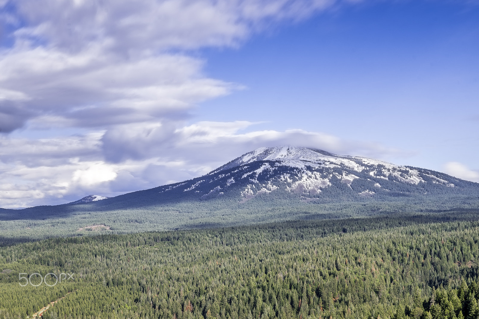 Sony DT 35mm F1.8 SAM sample photo. Burney mountain photography