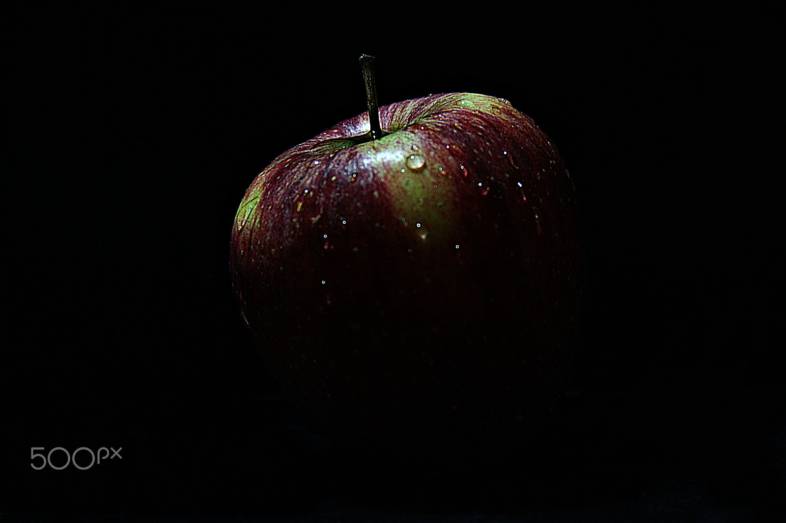 Canon EOS 1000D (EOS Digital Rebel XS / EOS Kiss F) sample photo. Red... photography