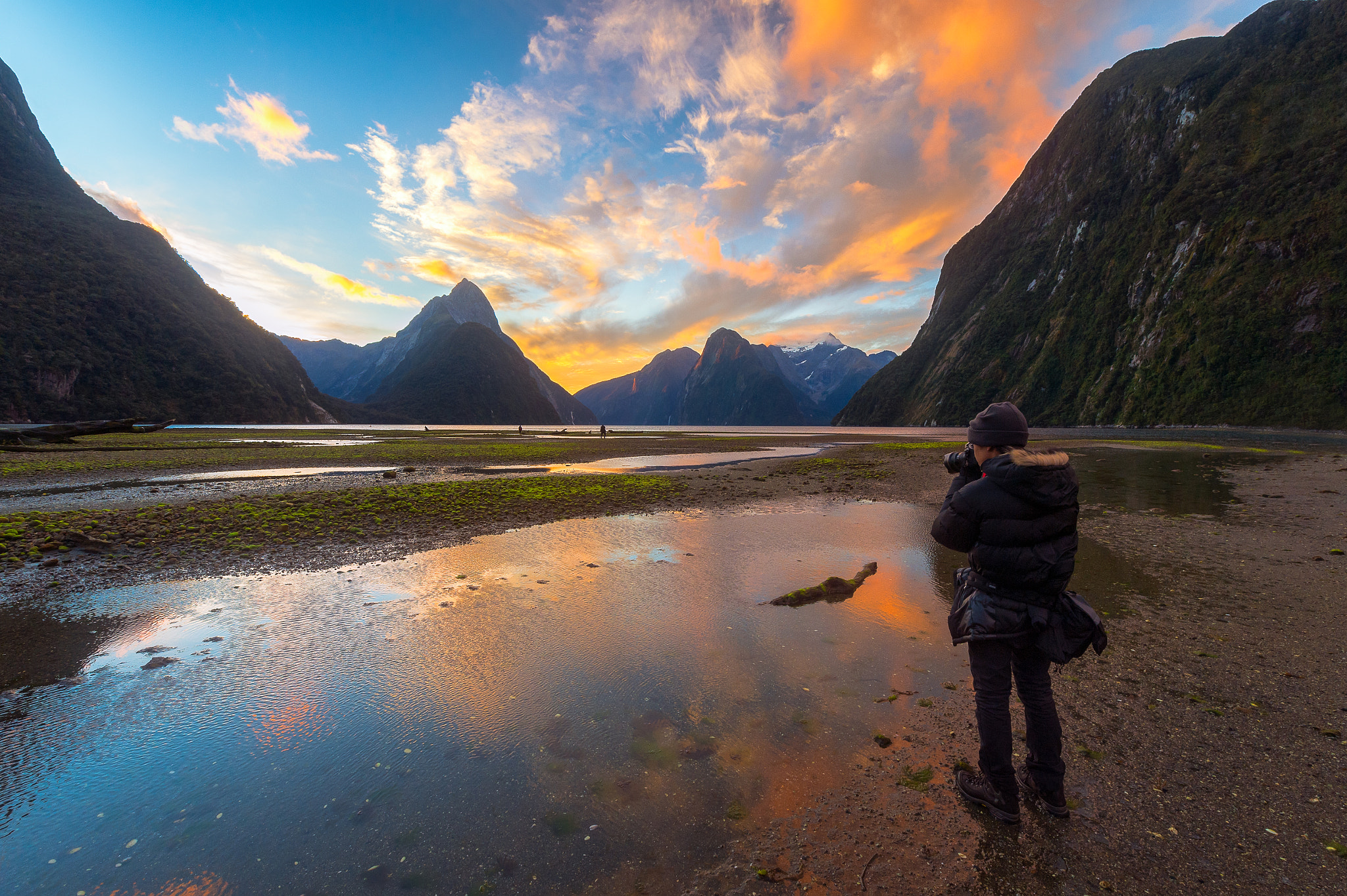 Nikon AF-S Nikkor 14-24mm F2.8G ED sample photo. Fiordland attractions photography