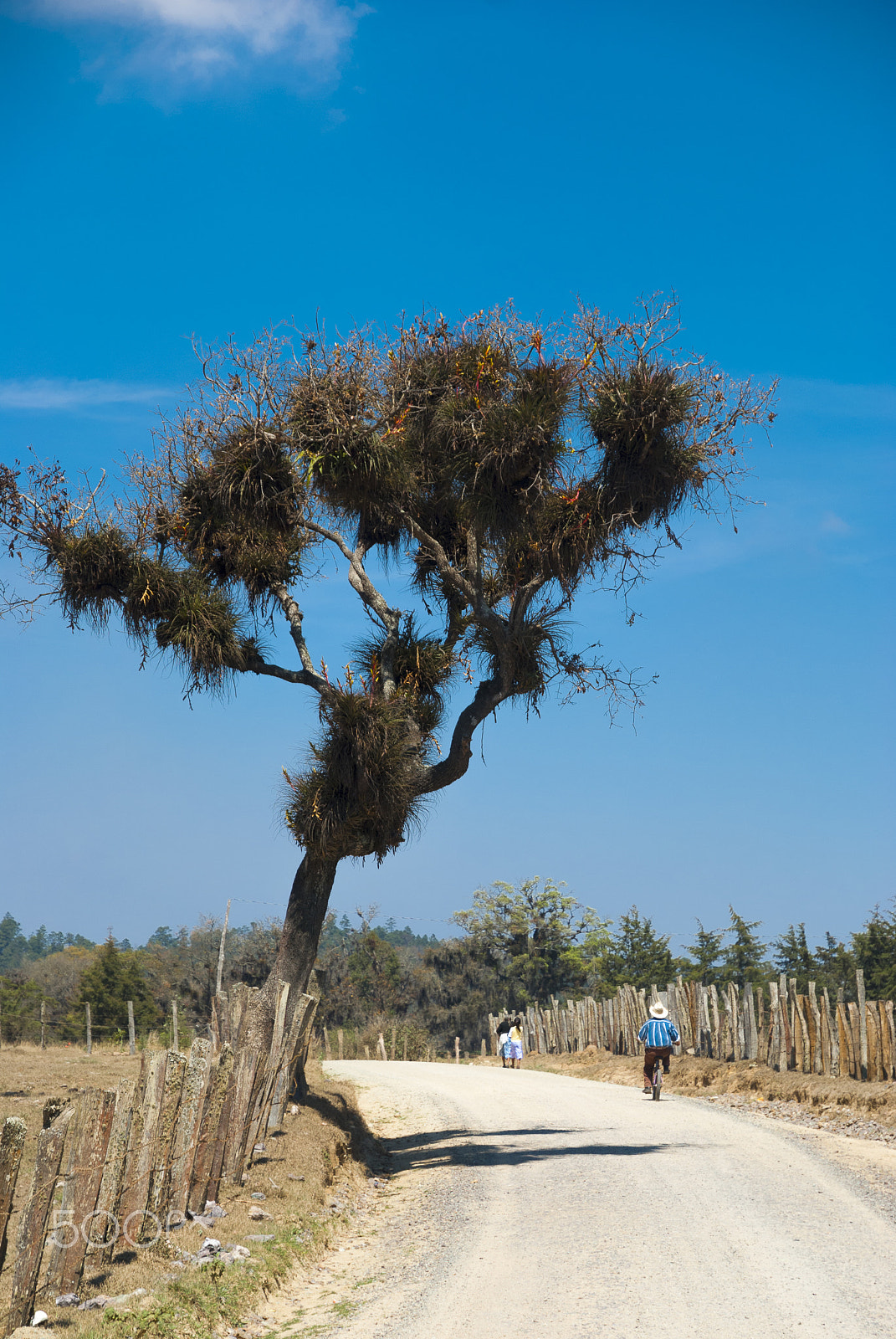 Nikon D200 sample photo. Mountain rural road in jalapa, guatemala. photography