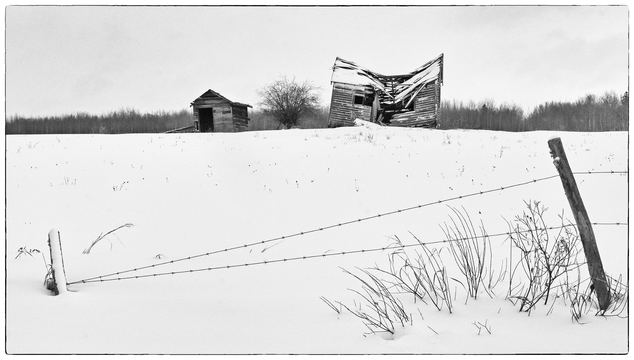 Nikon D7200 sample photo. Long winter photography