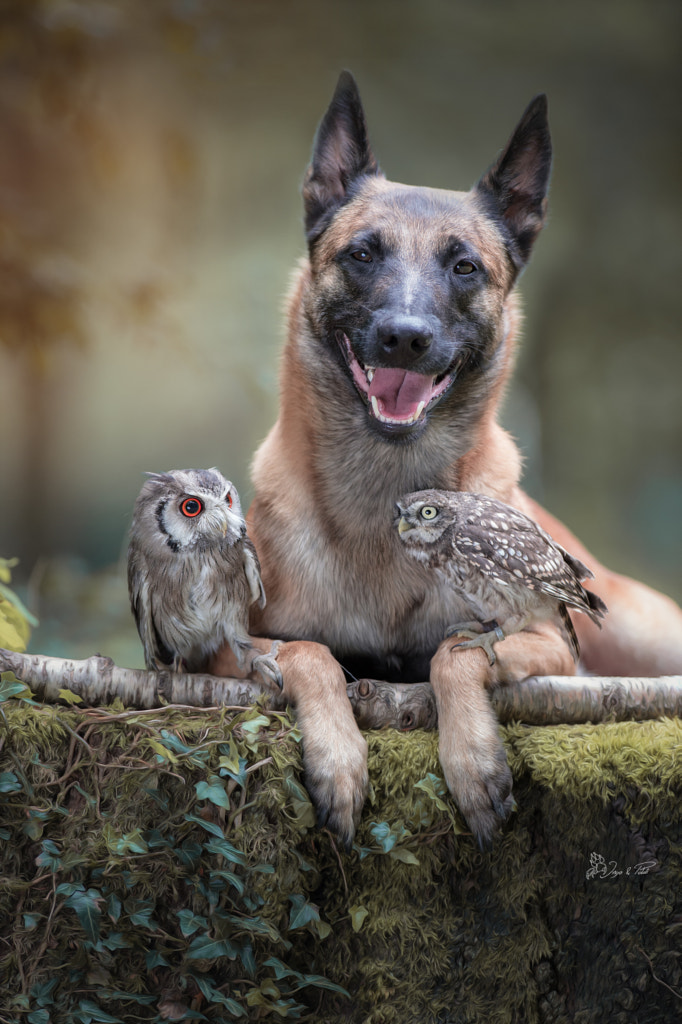 Laughing by Tanja Brandt on 500px.com