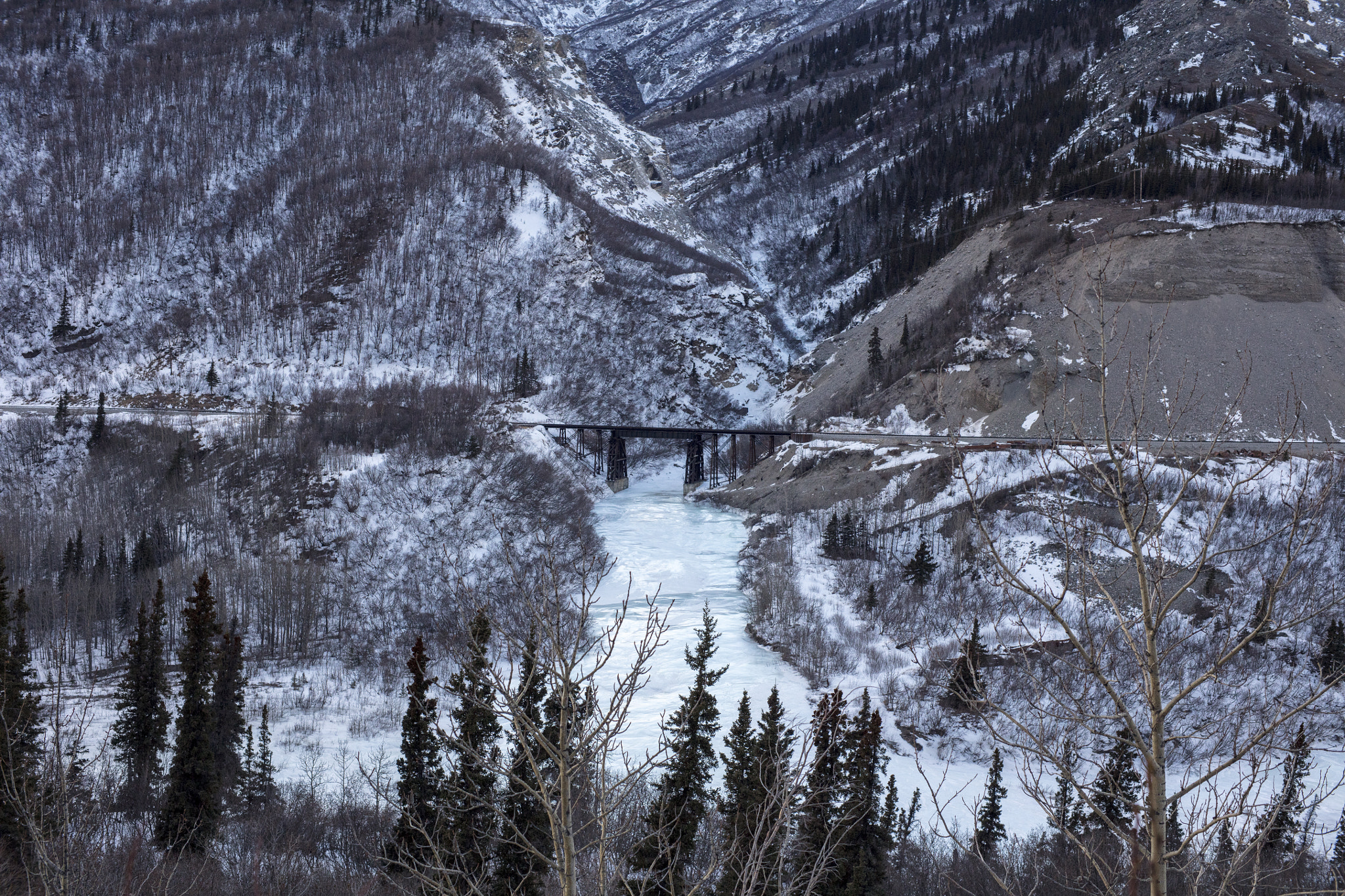 Canon EOS 5DS R + ZEISS Milvus 50mm F1.4 sample photo. The bridge photography