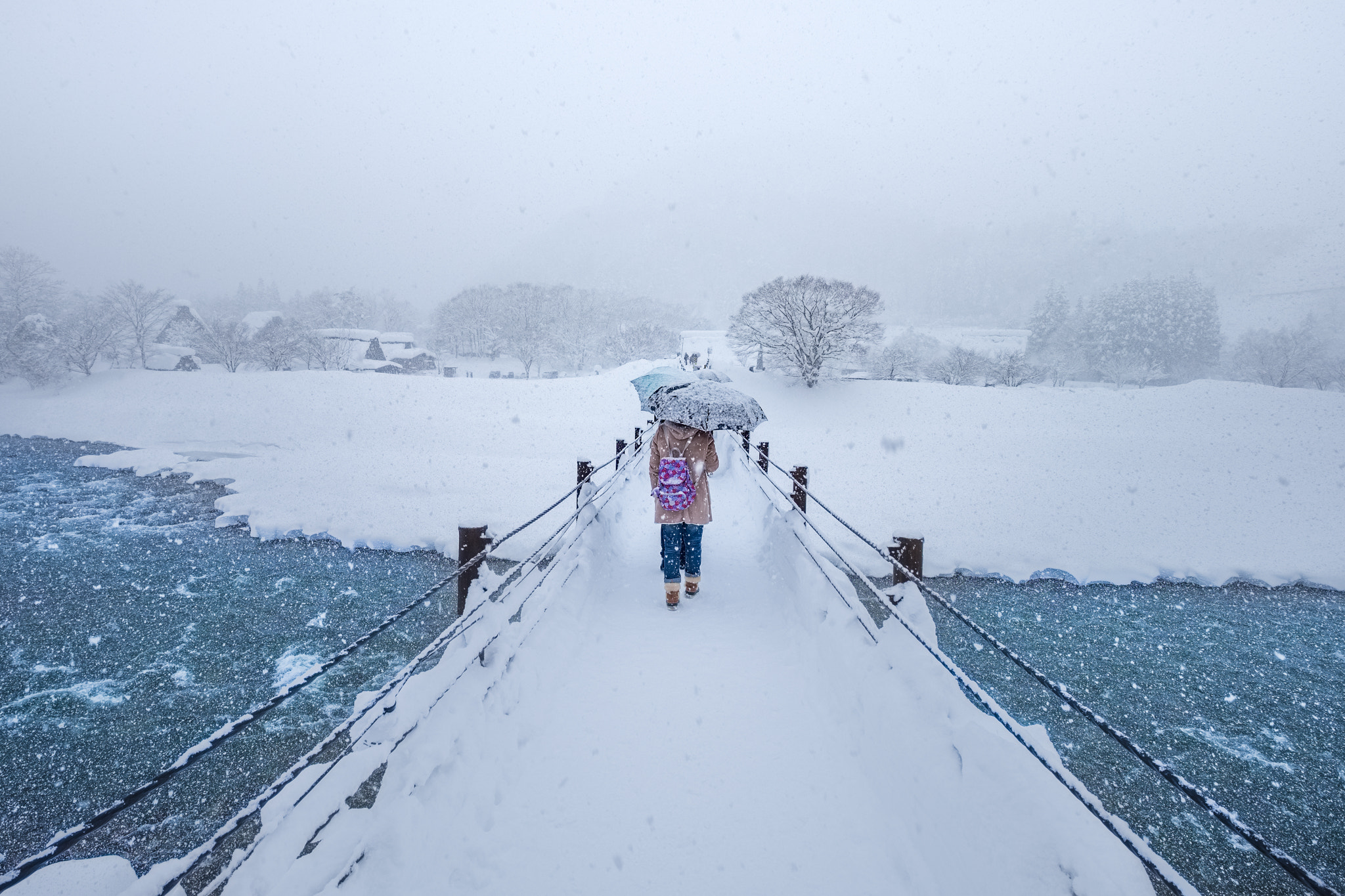 Fujifilm X-E2 + Fujifilm XF 10-24mm F4 R OIS sample photo. Snowy day photography