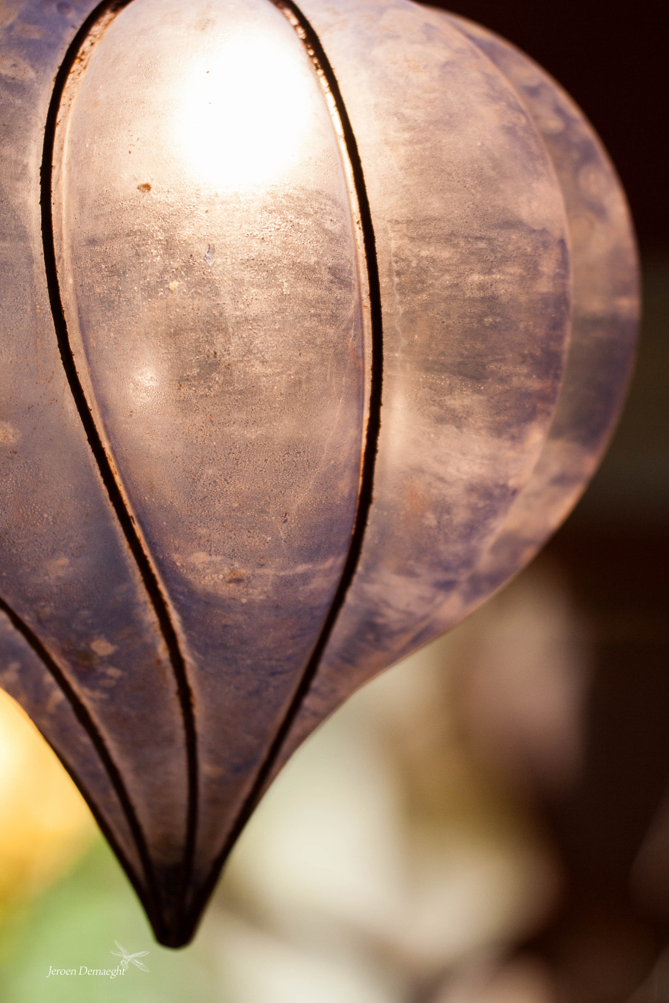 Sigma 150mm f/2.8 EX DG OS HSM APO Macro sample photo. Blue drop photography