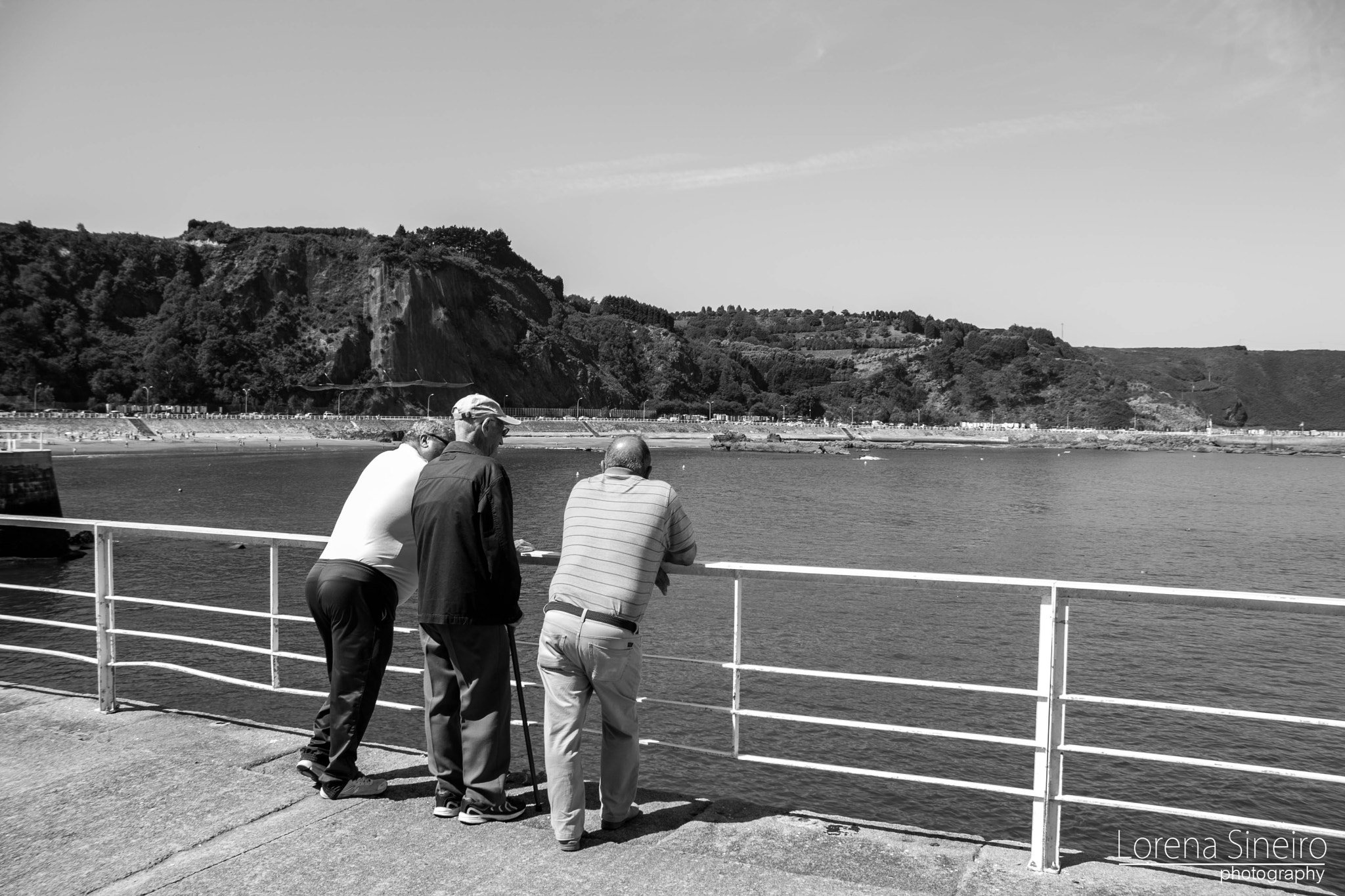 Canon EOS 1000D (EOS Digital Rebel XS / EOS Kiss F) sample photo. Three old friends photography