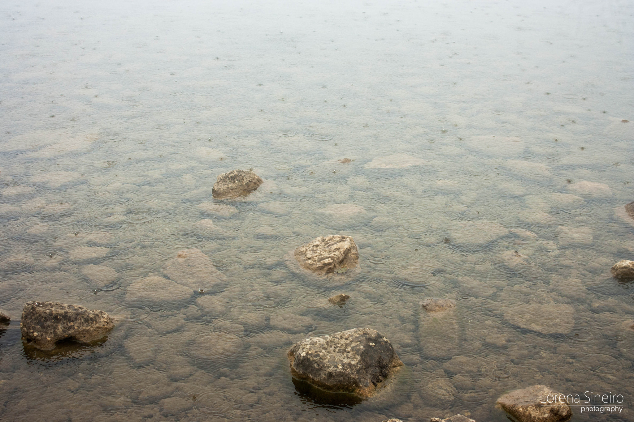 Canon EOS 1000D (EOS Digital Rebel XS / EOS Kiss F) sample photo. Raining on covadonga's lake photography