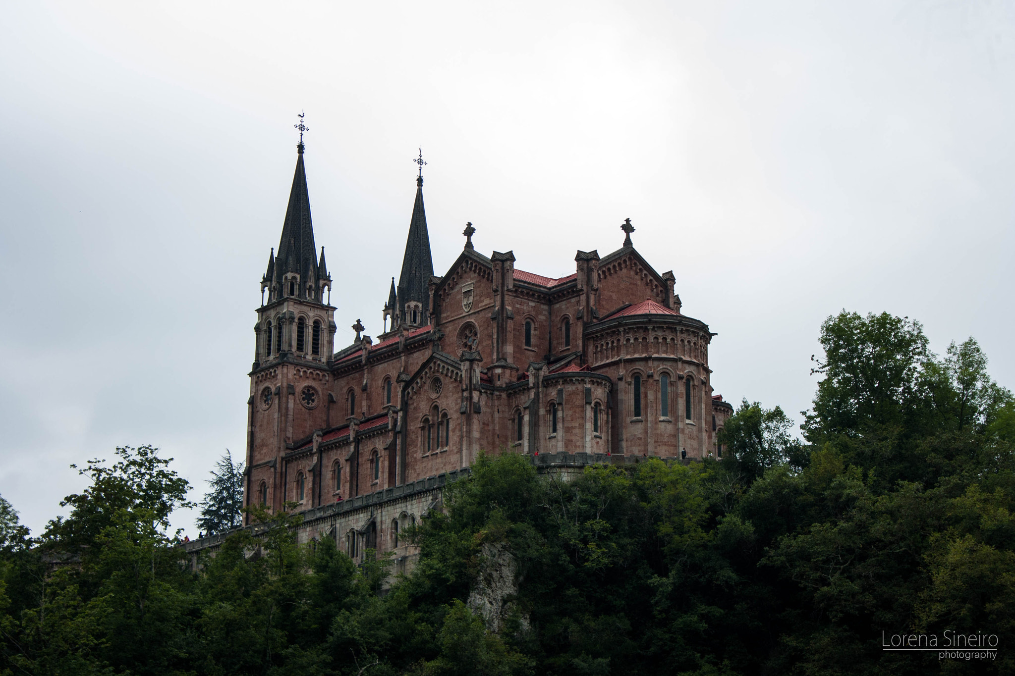 Canon EOS 1000D (EOS Digital Rebel XS / EOS Kiss F) sample photo. Cathedral in the woods photography