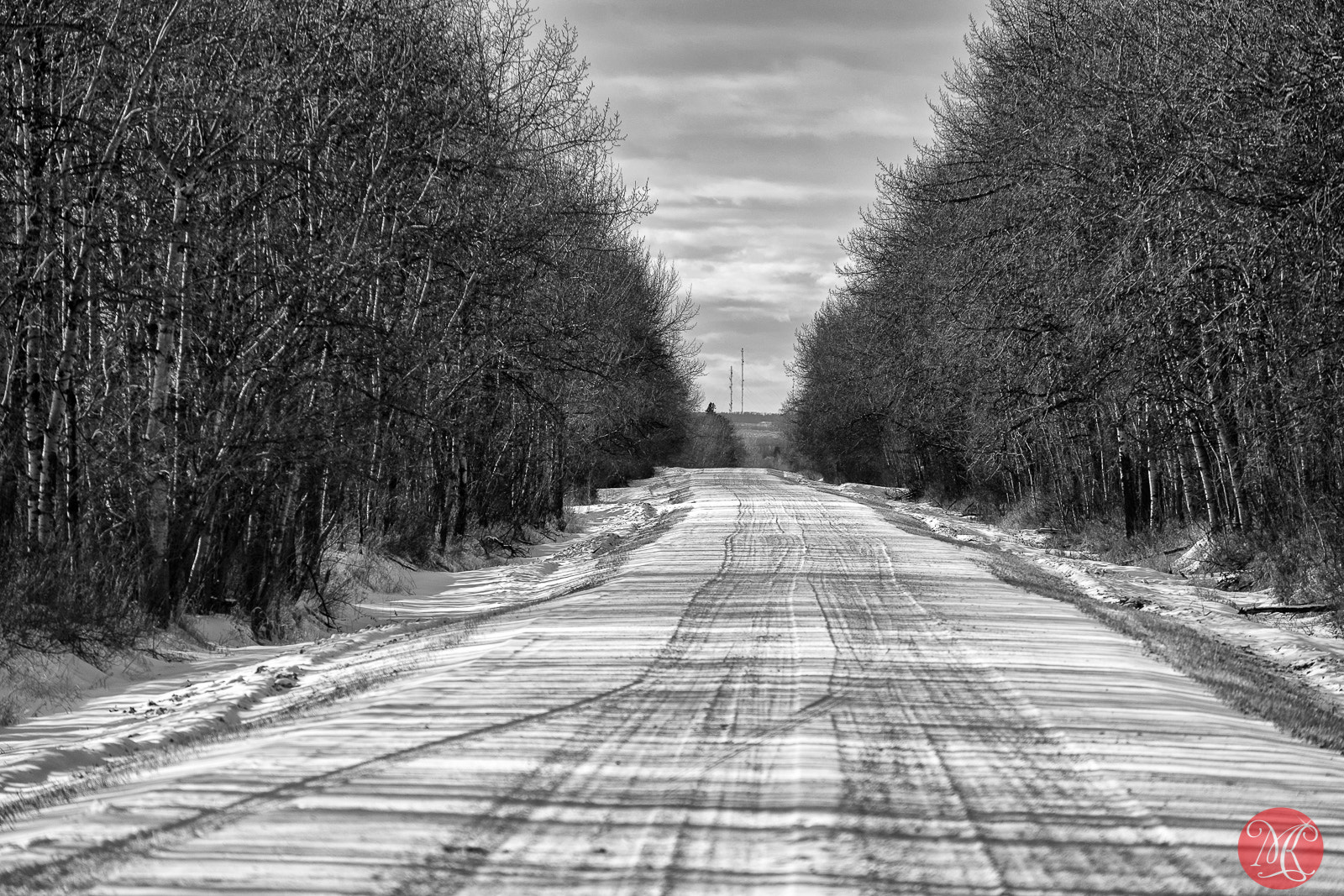 Fujifilm XF 55-200mm F3.5-4.8 R LM OIS sample photo. Where will you take me? photography