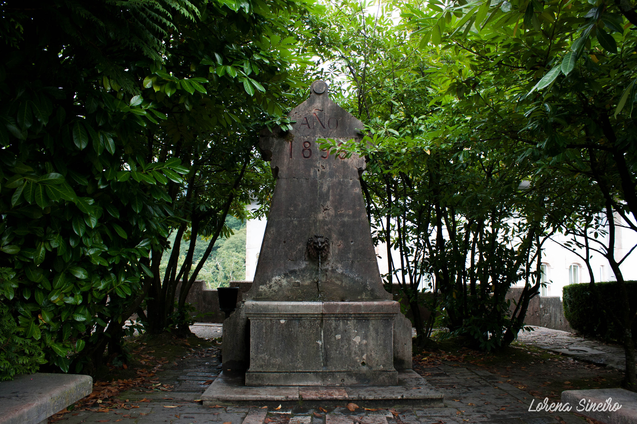Canon EOS 1000D (EOS Digital Rebel XS / EOS Kiss F) sample photo. Century xviii fountain photography