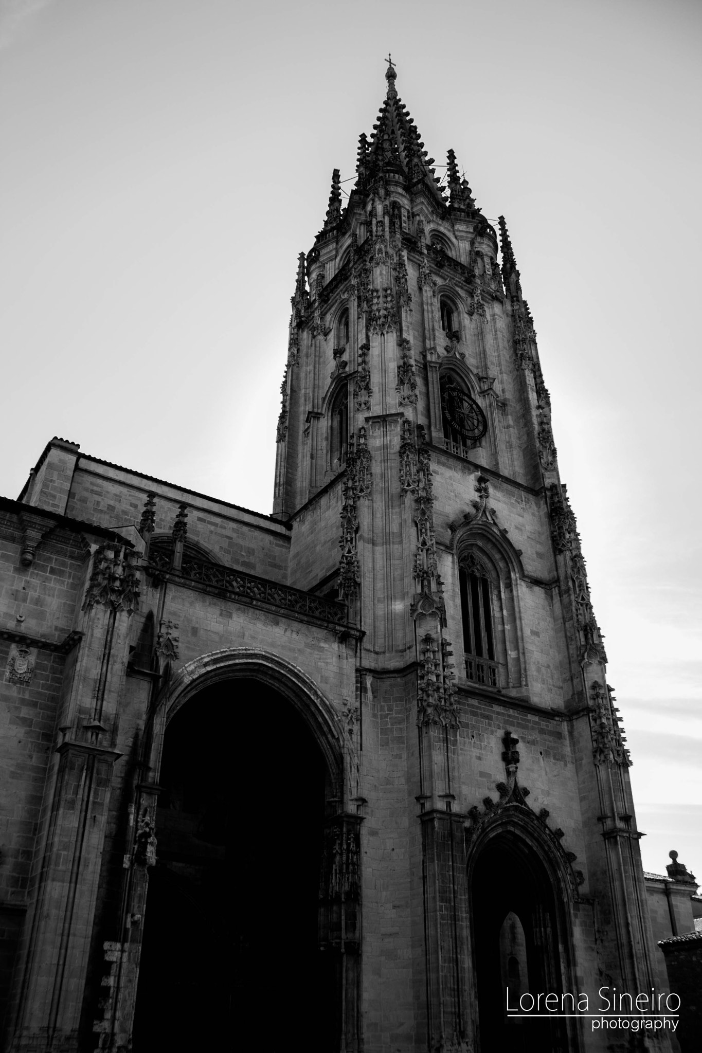 Canon EOS 1000D (EOS Digital Rebel XS / EOS Kiss F) sample photo. Oviedo's cathedral photography