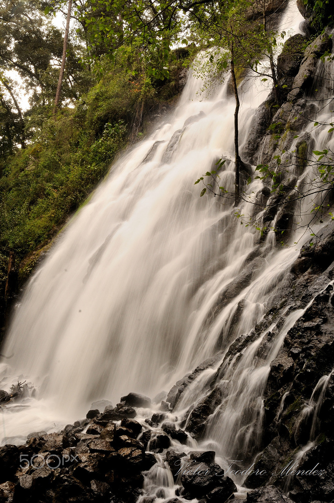 AF Zoom-Nikkor 28-80mm f/3.3-5.6G sample photo. Avandaro photography