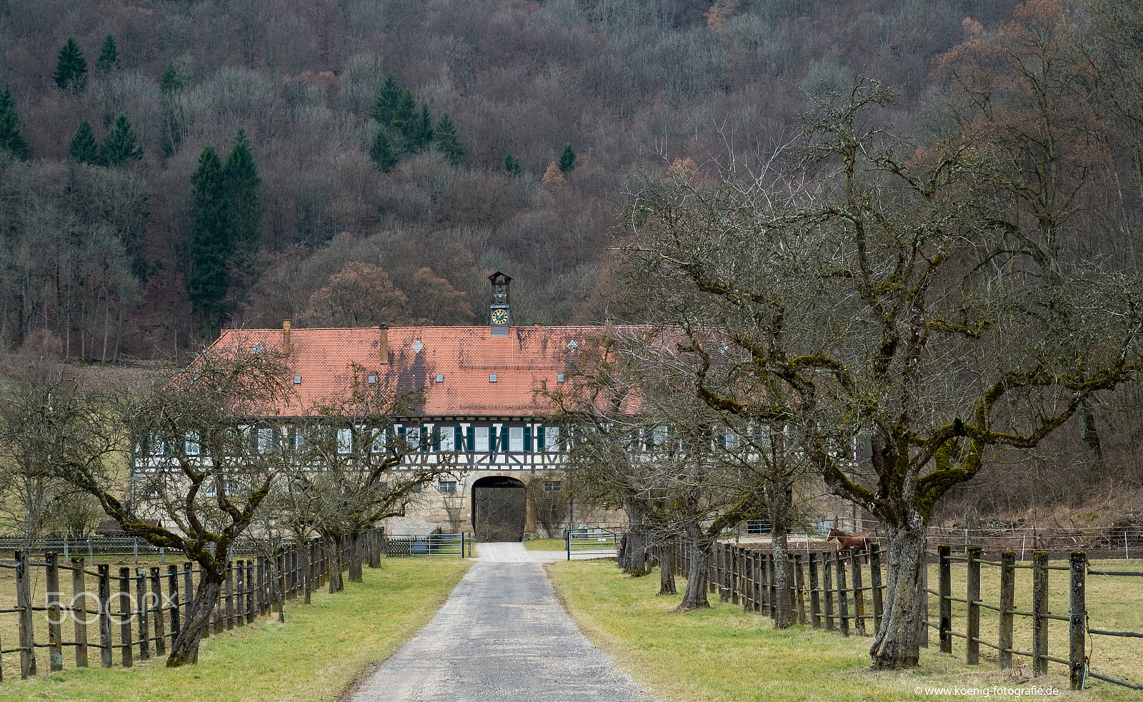 Fujifilm X-Pro1 + Fujifilm XF 60mm F2.4 R Macro sample photo. Gestüt güterstein photography