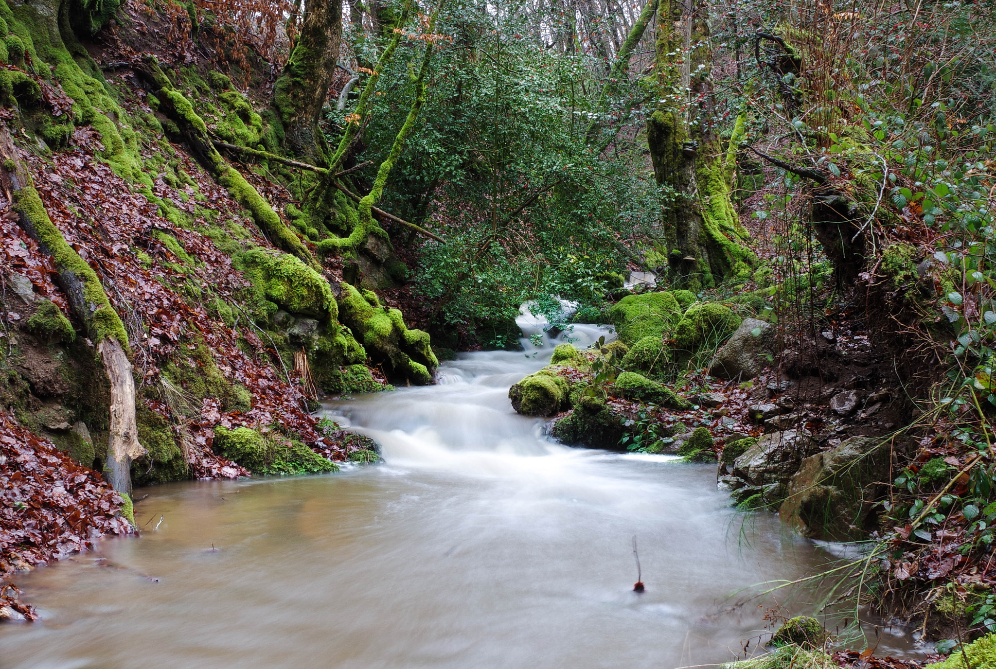 Pentax K-S2 sample photo. River in aveyron photography
