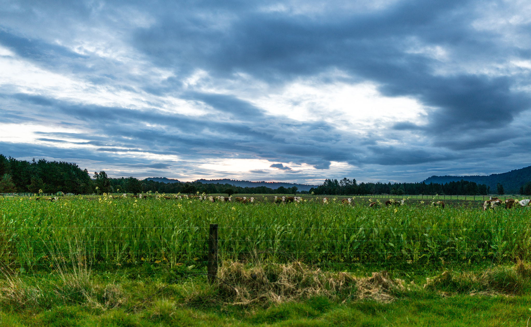 35mm F2.0 sample photo. Under the cloud photography