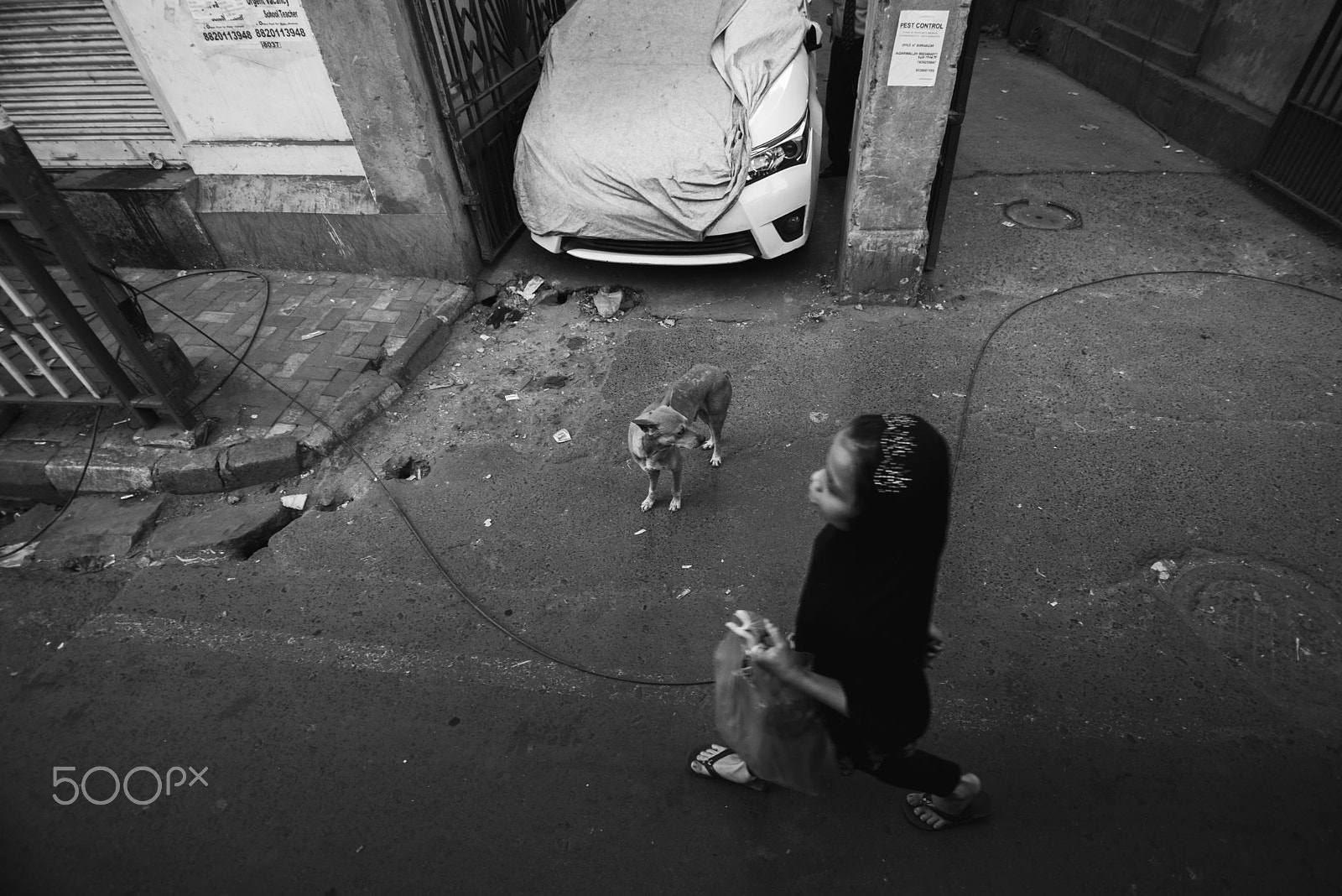 Tokina AT-X Pro 11-16mm F2.8 DX sample photo. The carrier | kolkata photography