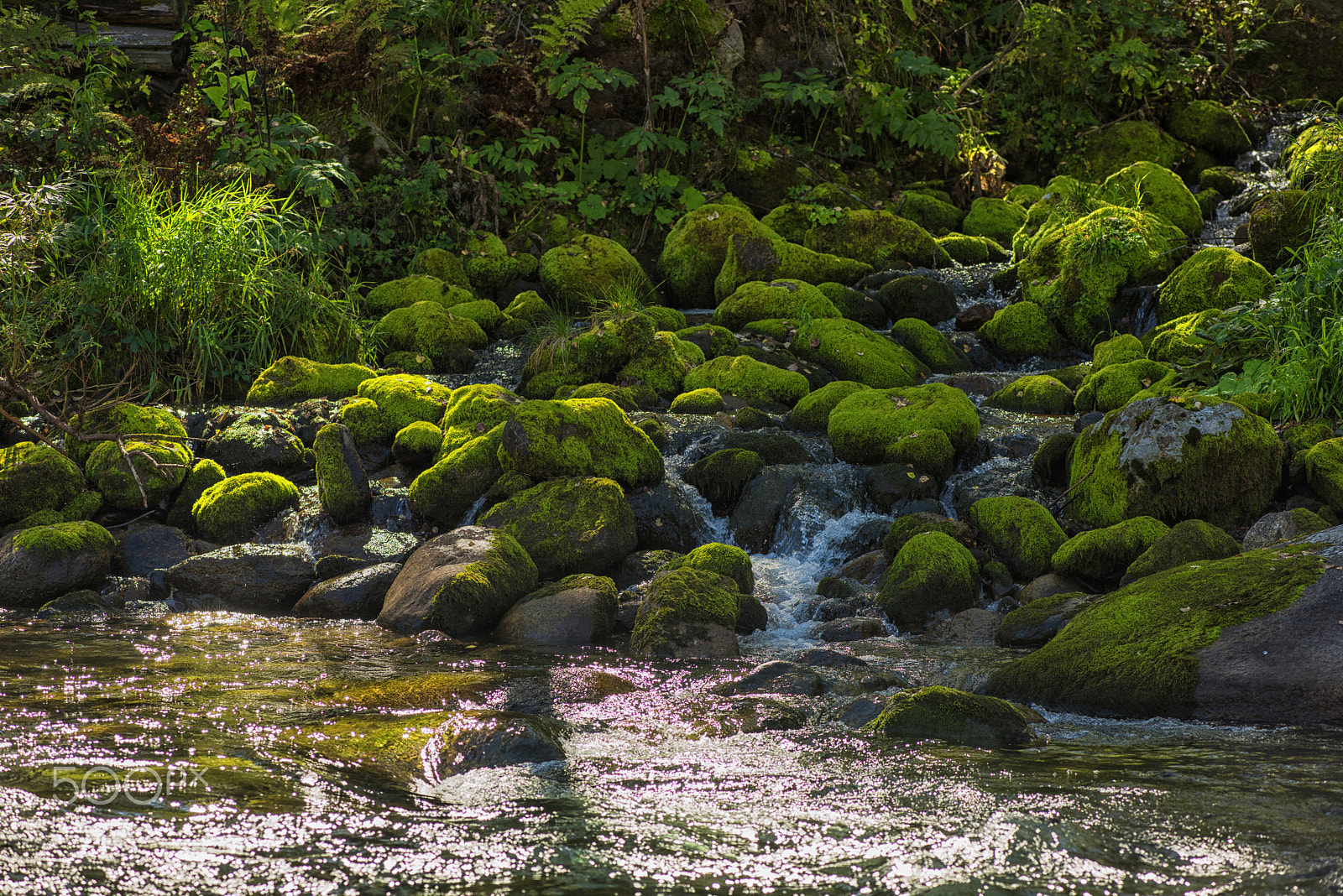 Nikon AF-Nikkor 80-200mm F2.8D ED sample photo. Fast mountain river in altay photography