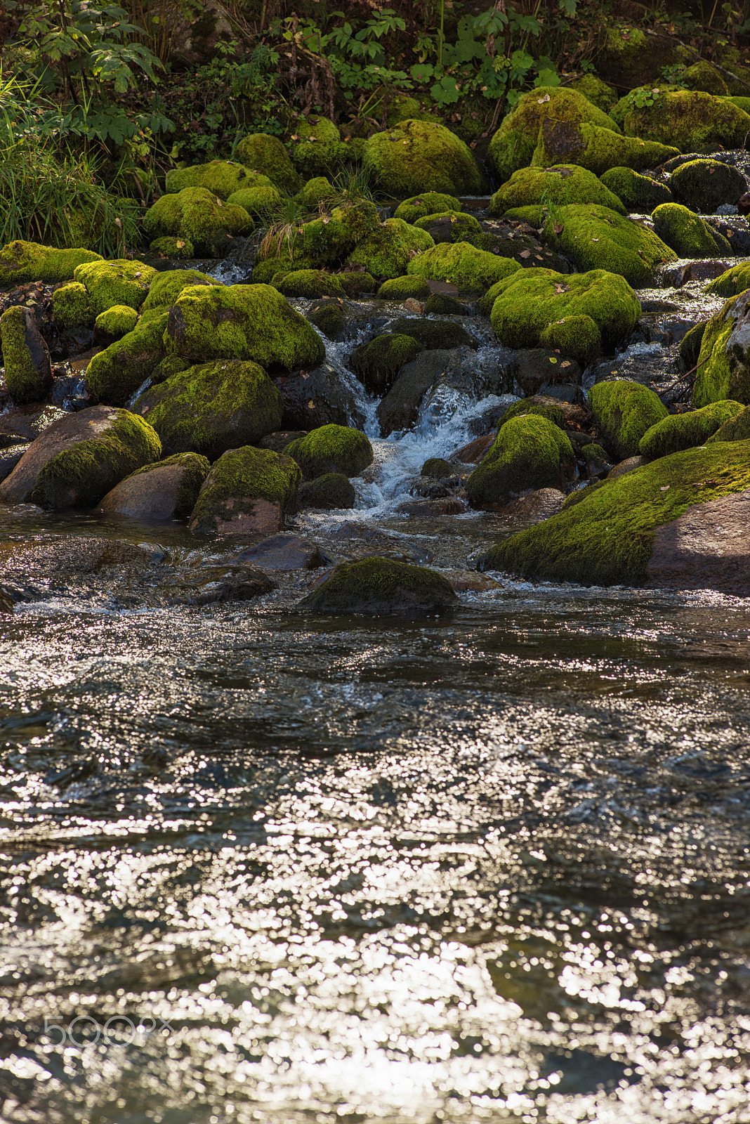 Nikon AF-Nikkor 80-200mm F2.8D ED sample photo. Fast mountain river in altay photography