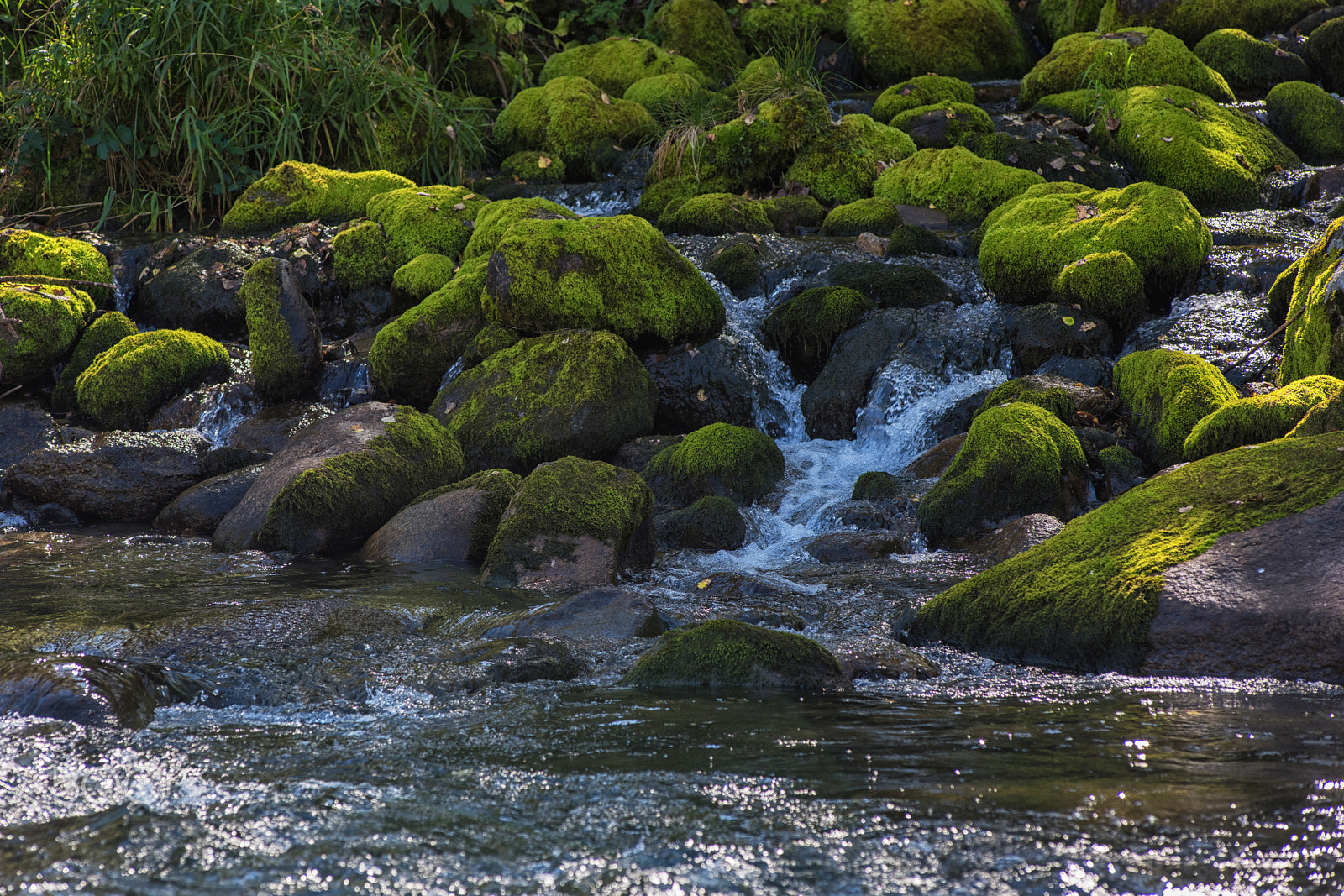 Nikon AF-Nikkor 80-200mm F2.8D ED sample photo. Fast mountain river in altay photography