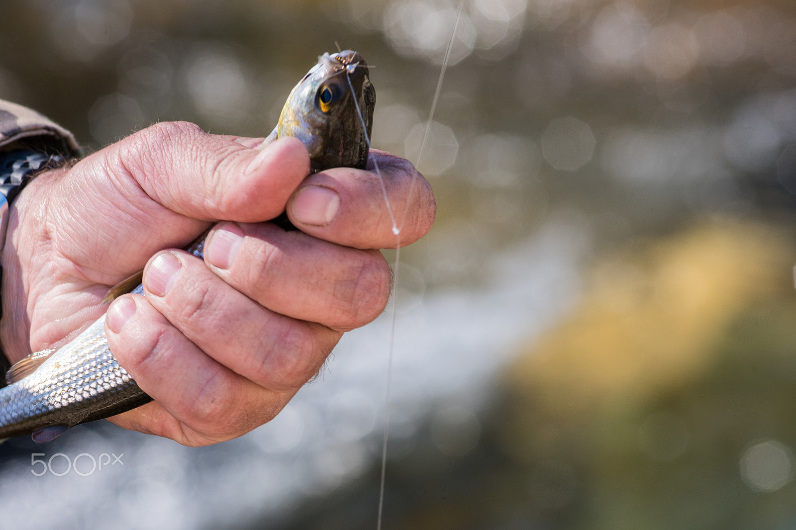 Nikon AF-Nikkor 80-200mm F2.8D ED sample photo. Fisherman holding caught photography