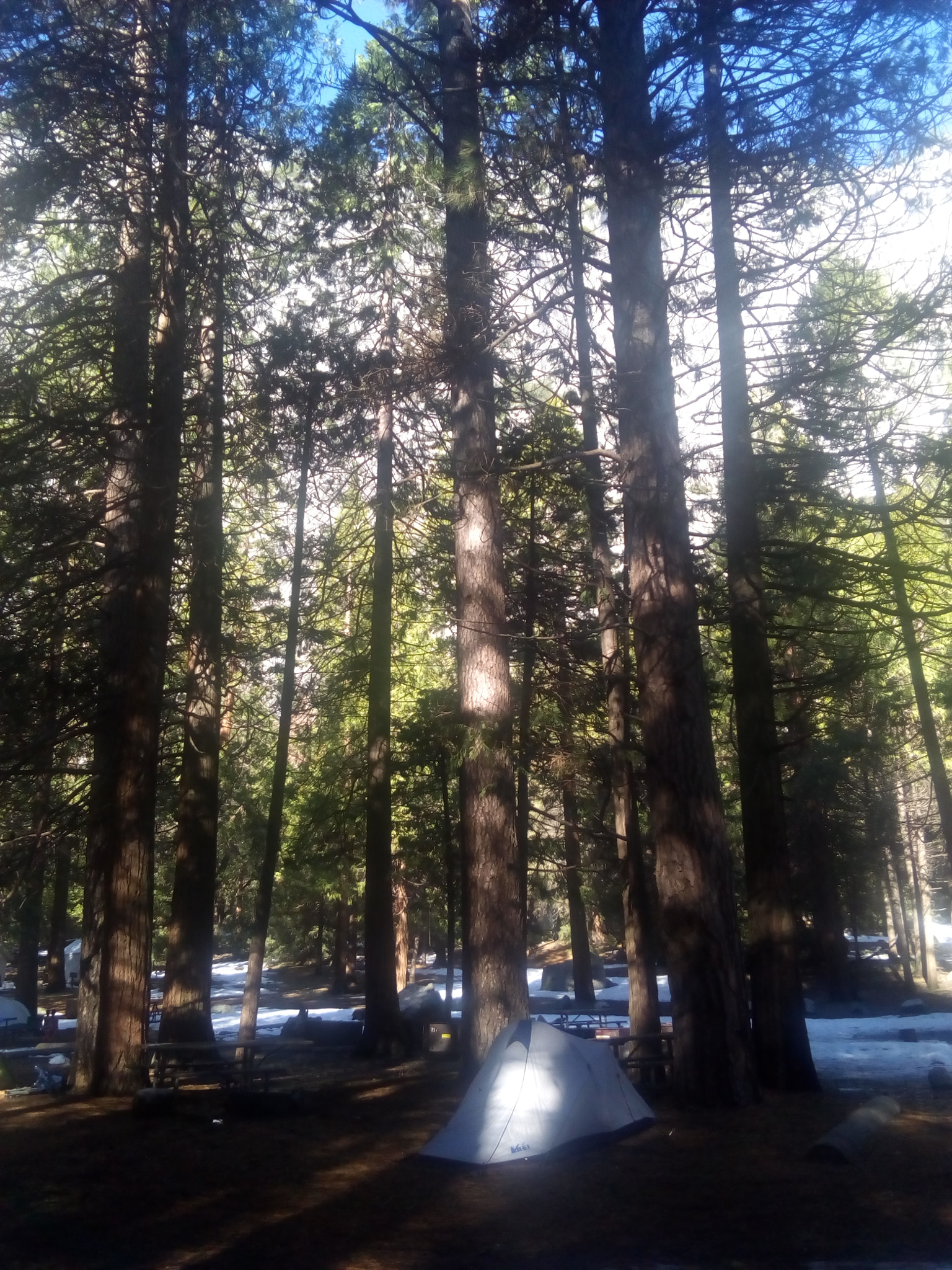 ZTE BLADE A452 sample photo. Camping camp 4, yosemite photography