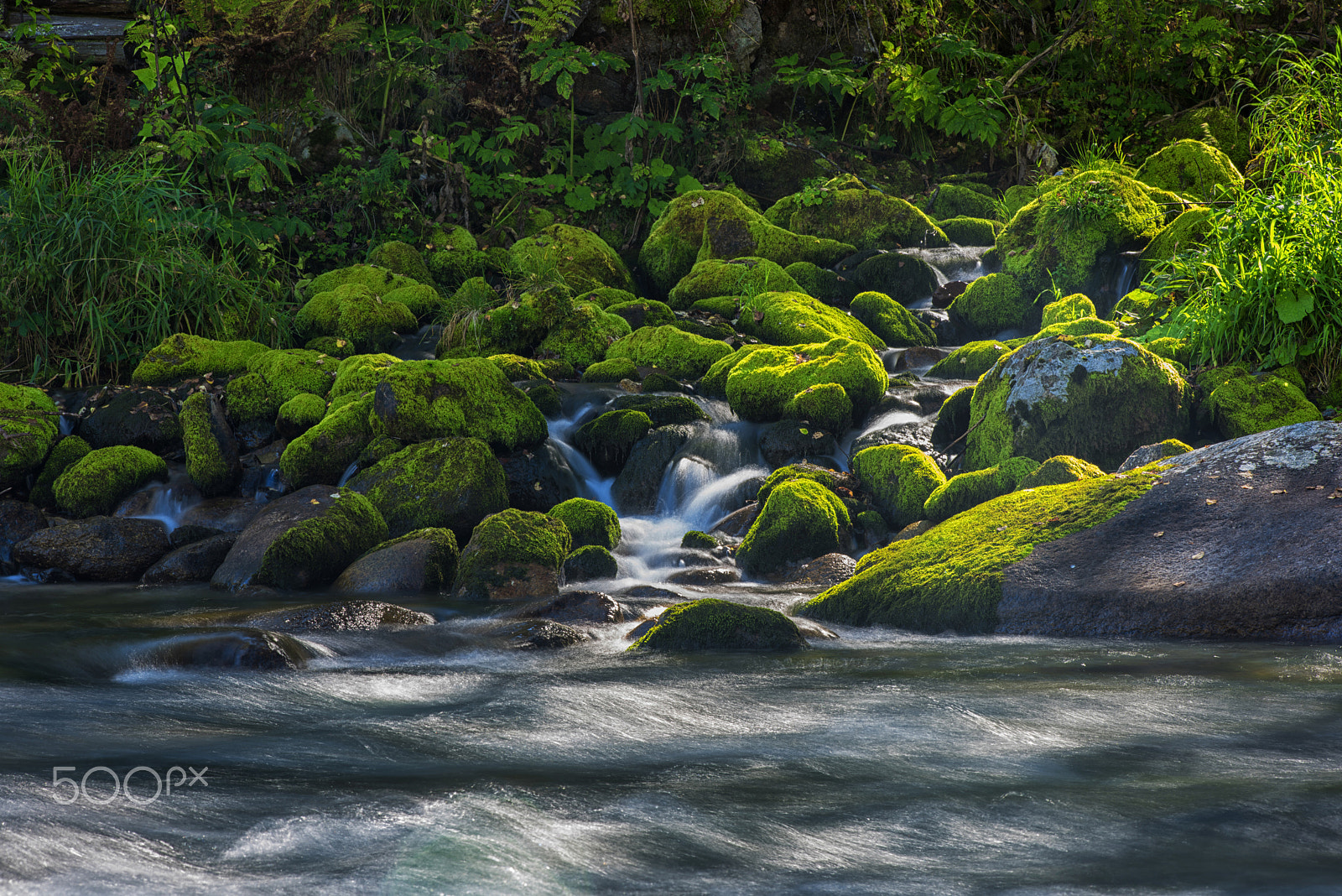Nikon AF-Nikkor 80-200mm F2.8D ED sample photo. Fast mountain river in altay photography
