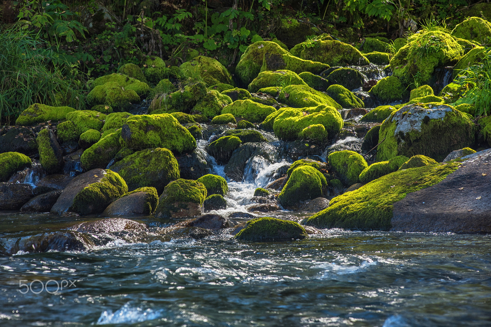 Nikon AF-Nikkor 80-200mm F2.8D ED sample photo. Fast mountain river in altay photography