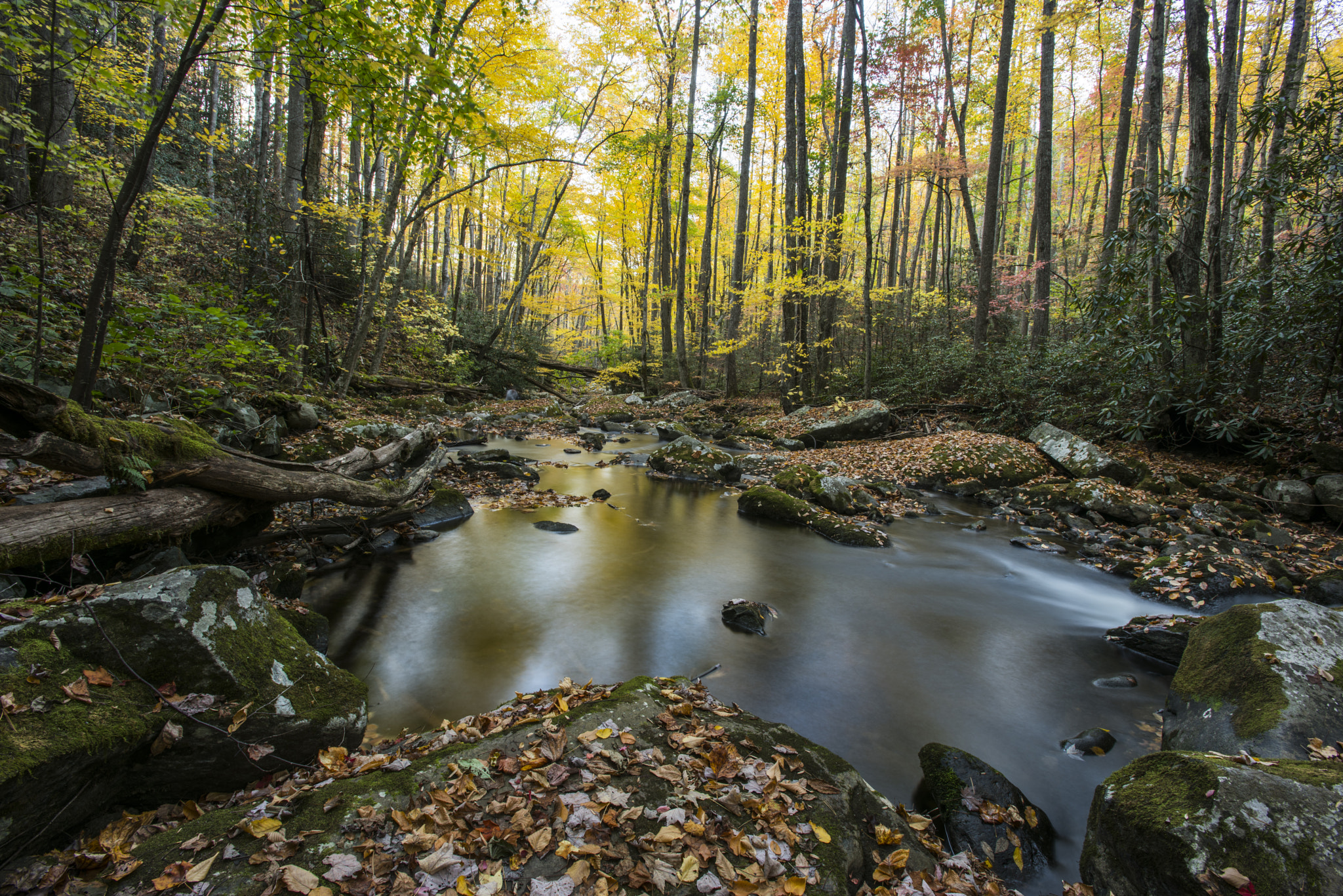 Nikon D810 + Nikon AF-S Nikkor 17-35mm F2.8D ED-IF sample photo. Autumn reflections photography