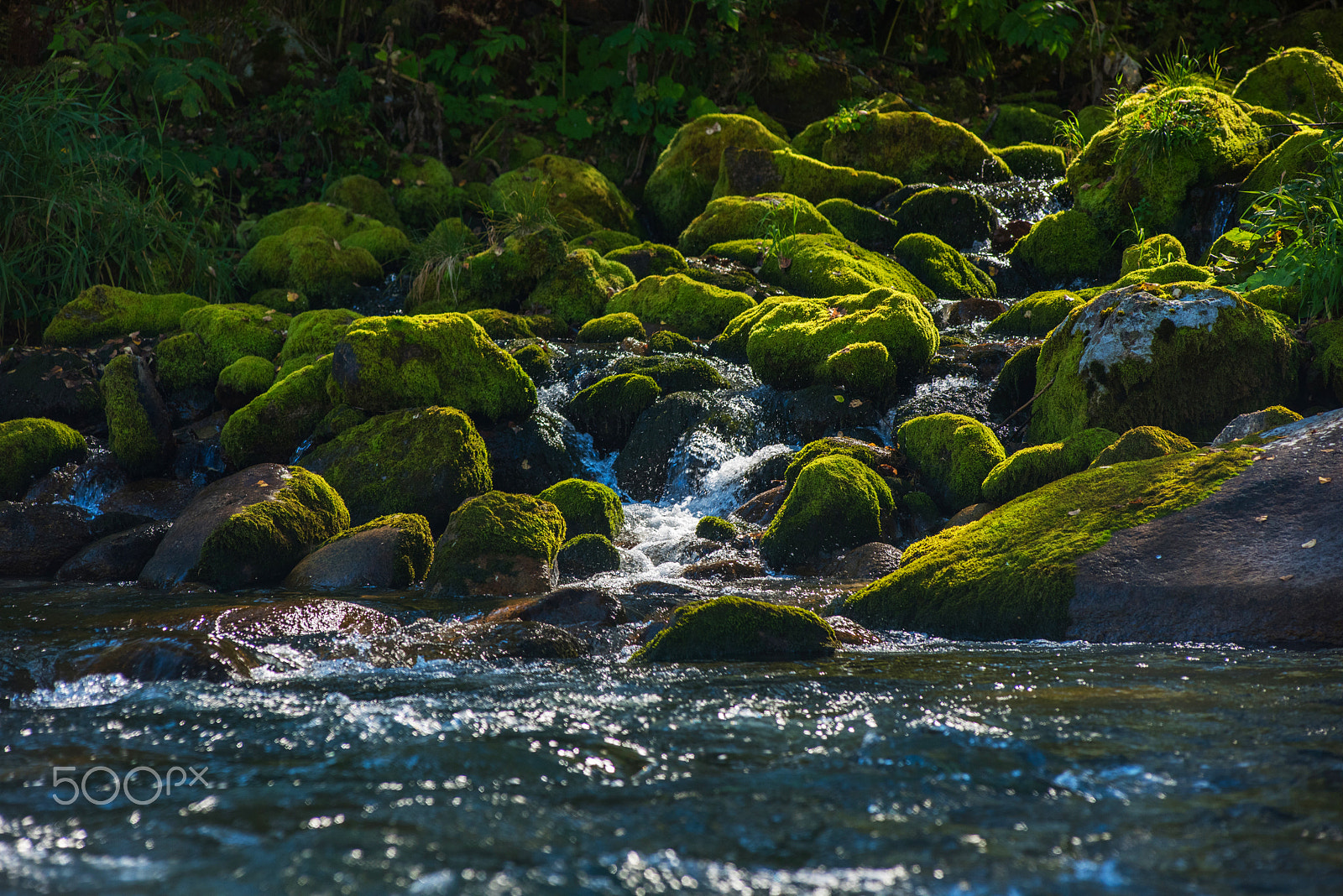 Nikon AF-Nikkor 80-200mm F2.8D ED sample photo. Fast mountain river in altay photography