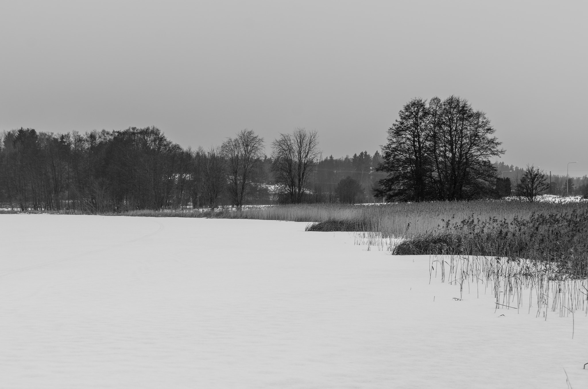 Nikon D7000 sample photo. Grey winter photography