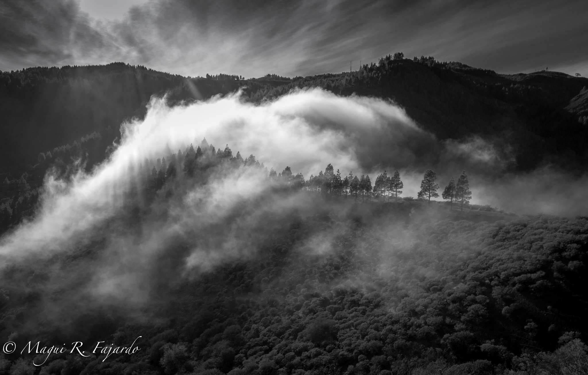 Sigma 10-20mm F3.5 EX DC HSM sample photo. Mantas photography