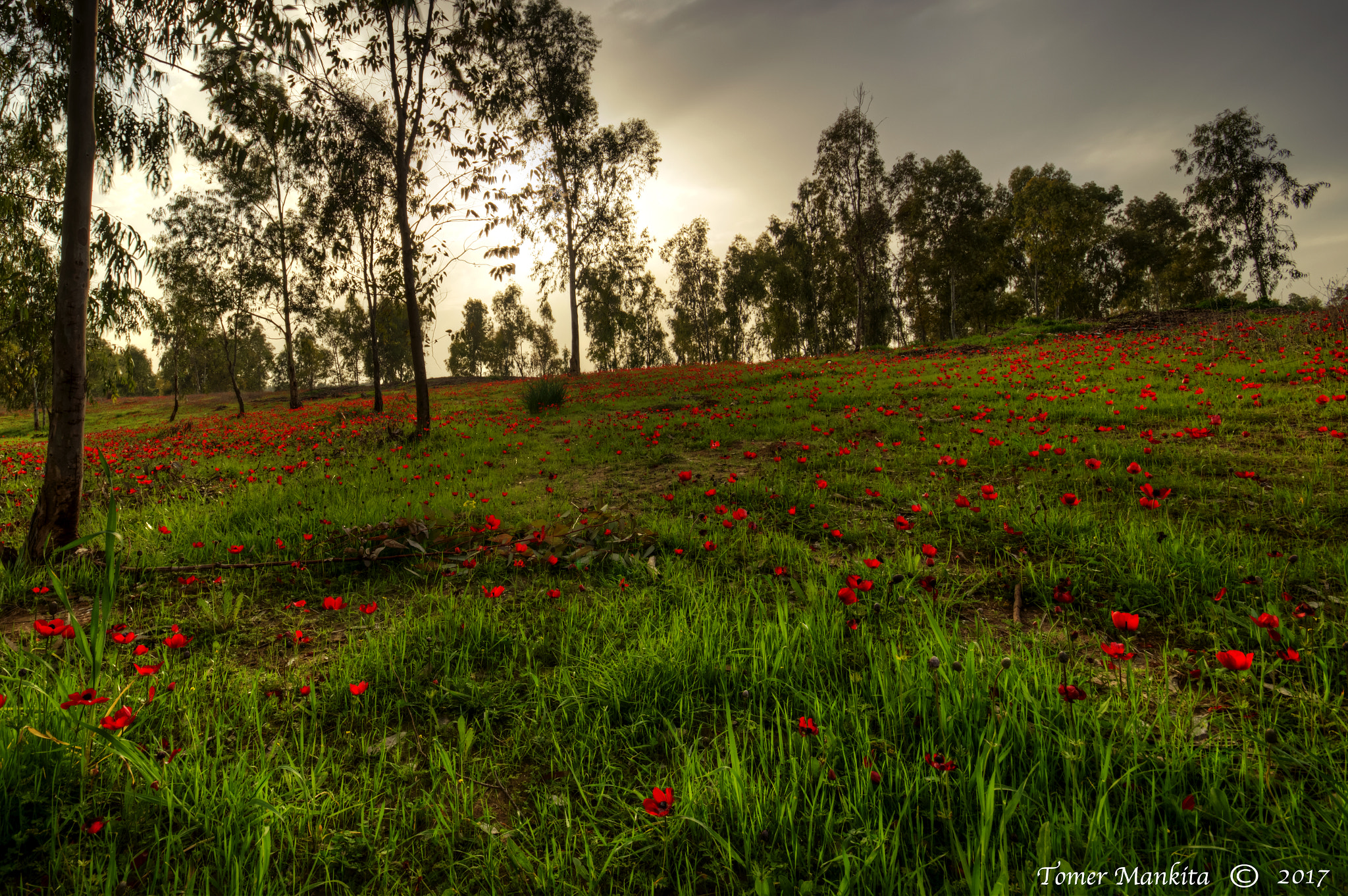 Nikon D3200 + Sigma 10-20mm F4-5.6 EX DC HSM sample photo. South in red photography