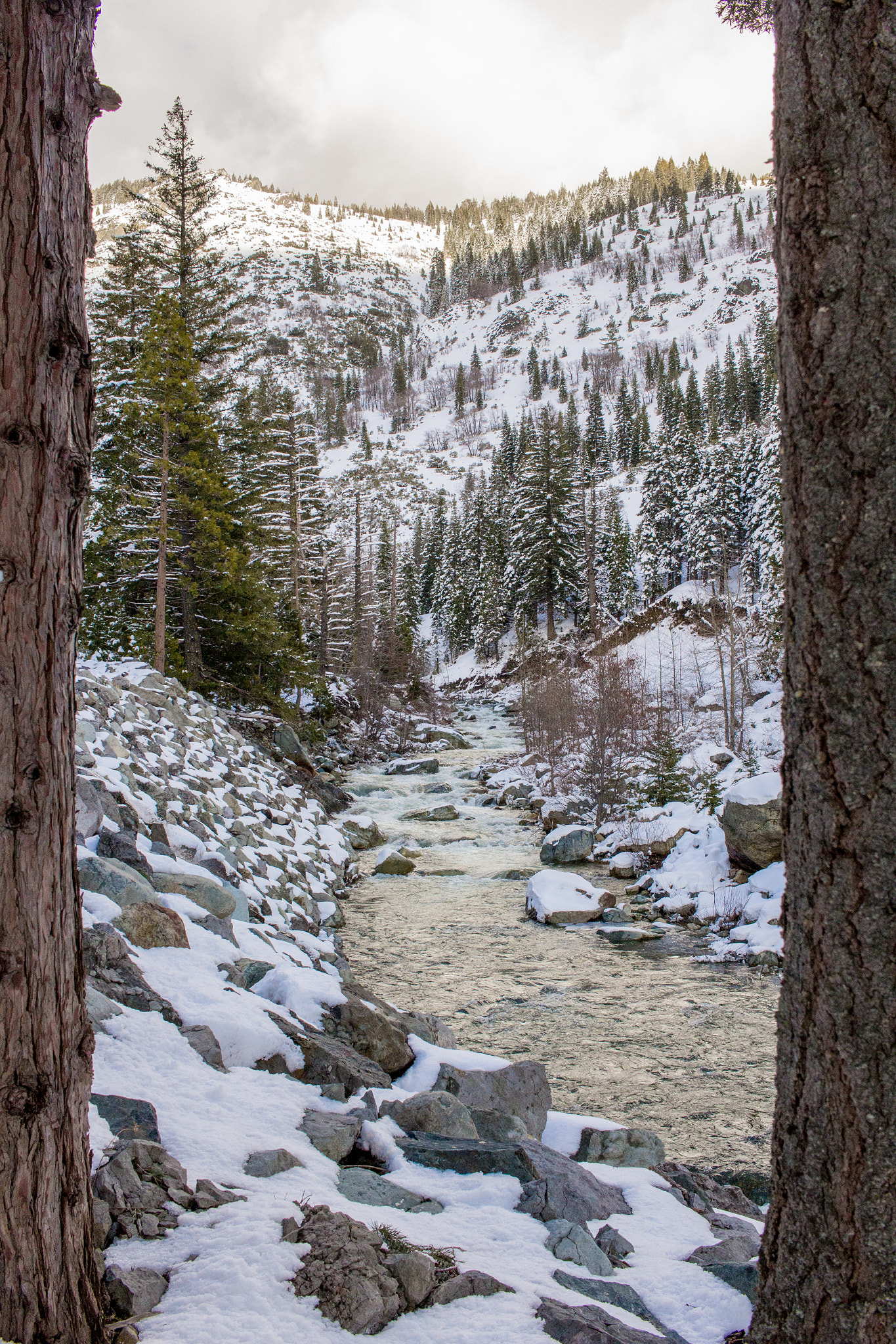 Canon EF-S 24mm F2.8 STM sample photo. Enjoying the view through the trees photography