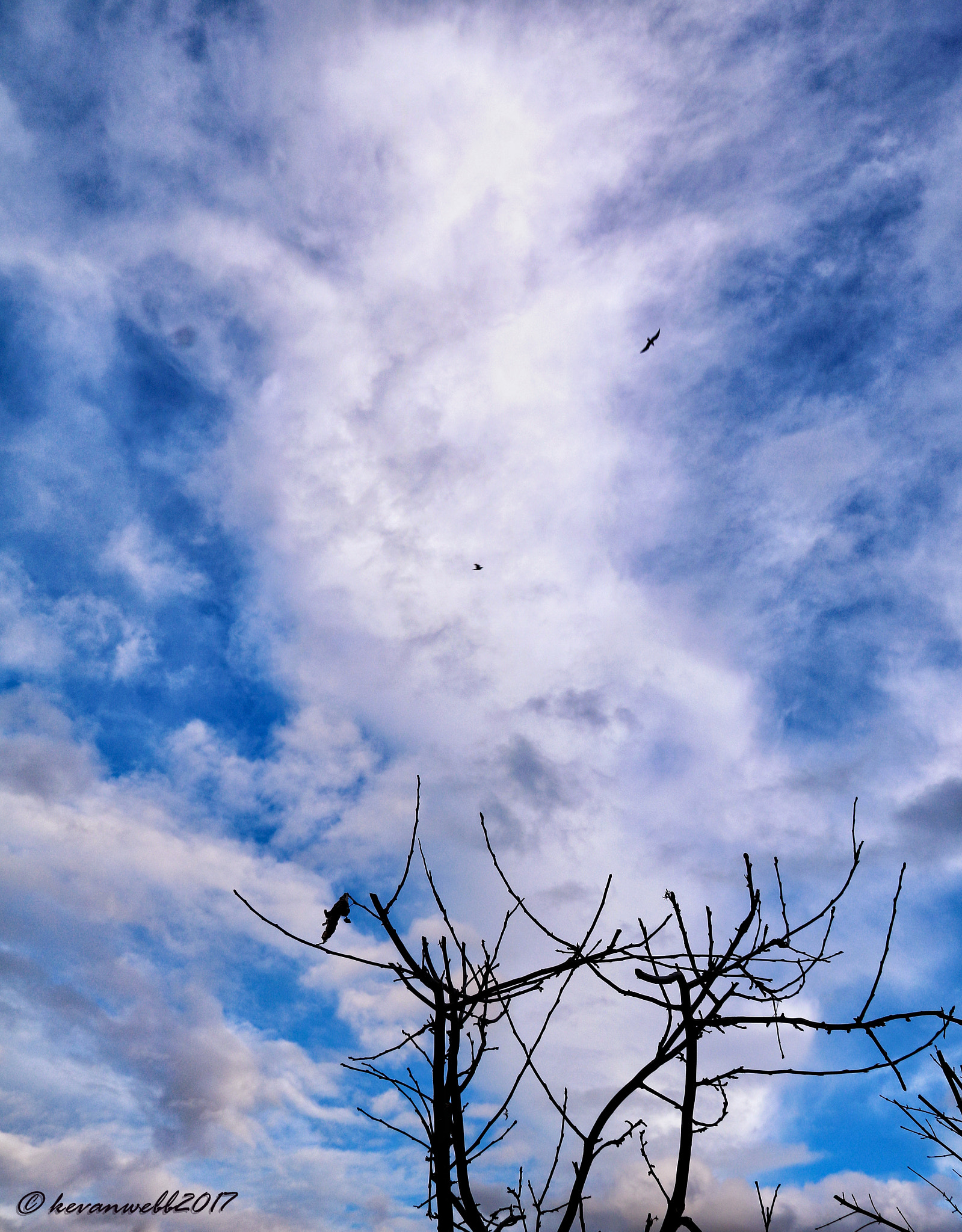 Canon EOS 760D (EOS Rebel T6s / EOS 8000D) sample photo. Winter sky photography