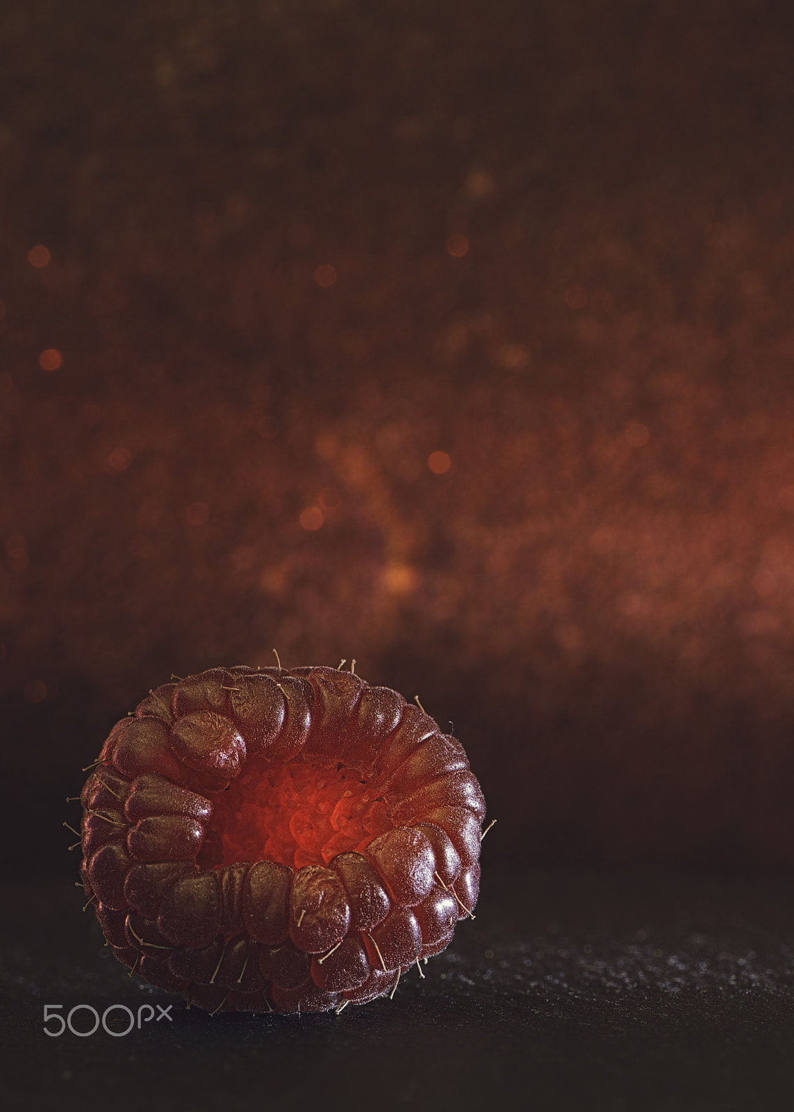Nikon AF-S Micro-Nikkor 105mm F2.8G IF-ED VR sample photo. Red fire photography