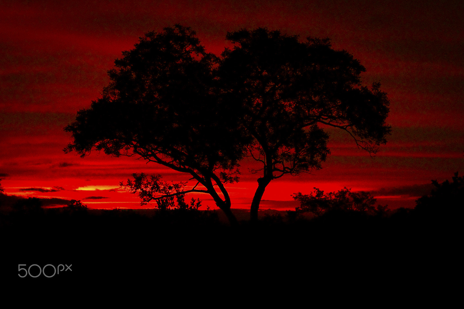 Canon EOS 7D + Canon EF 16-35mm F2.8L II USM sample photo. Vivid red african sunset photography