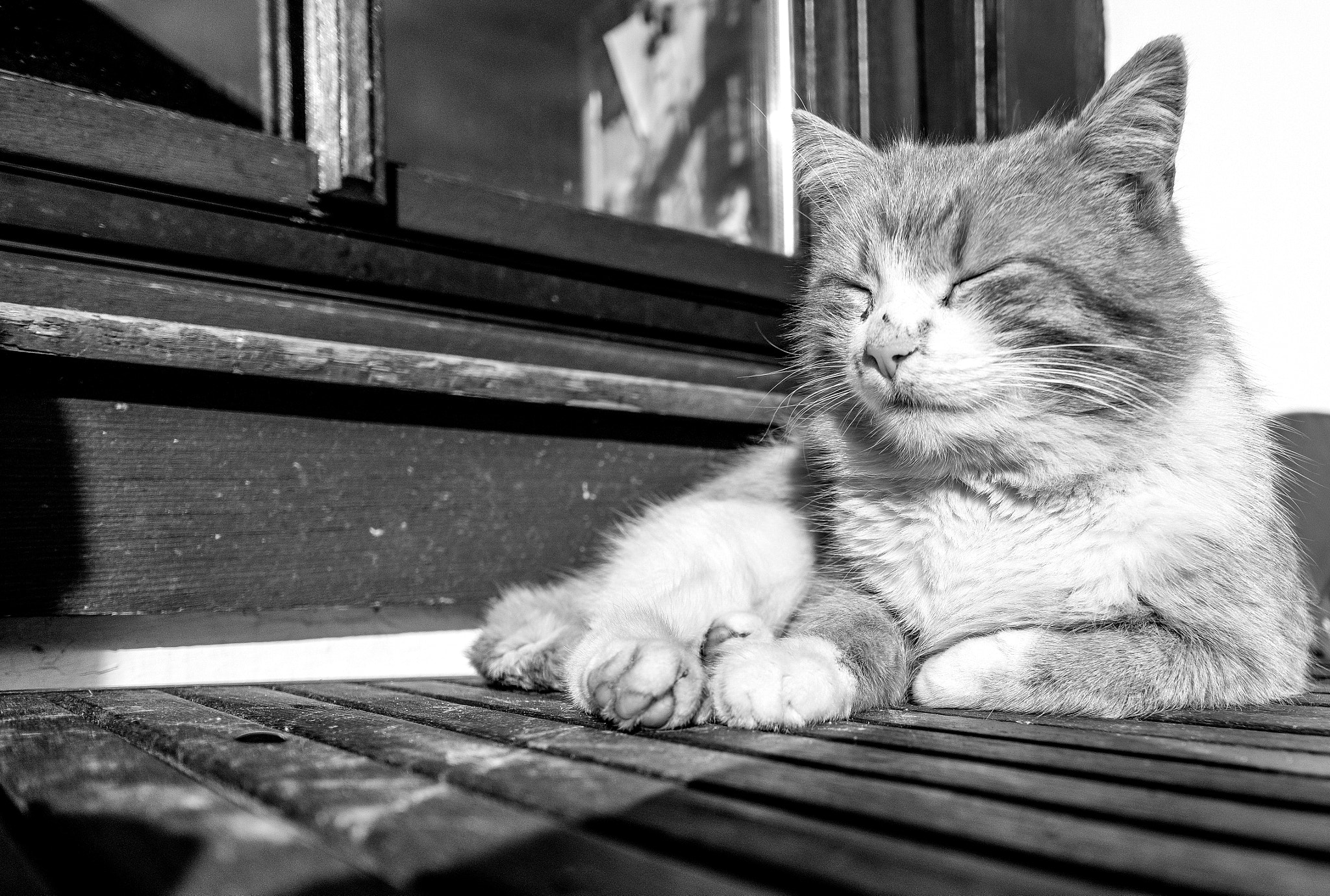 Fujifilm X-T2 + Fujifilm XF 14mm F2.8 R sample photo. Endlich sonne photography