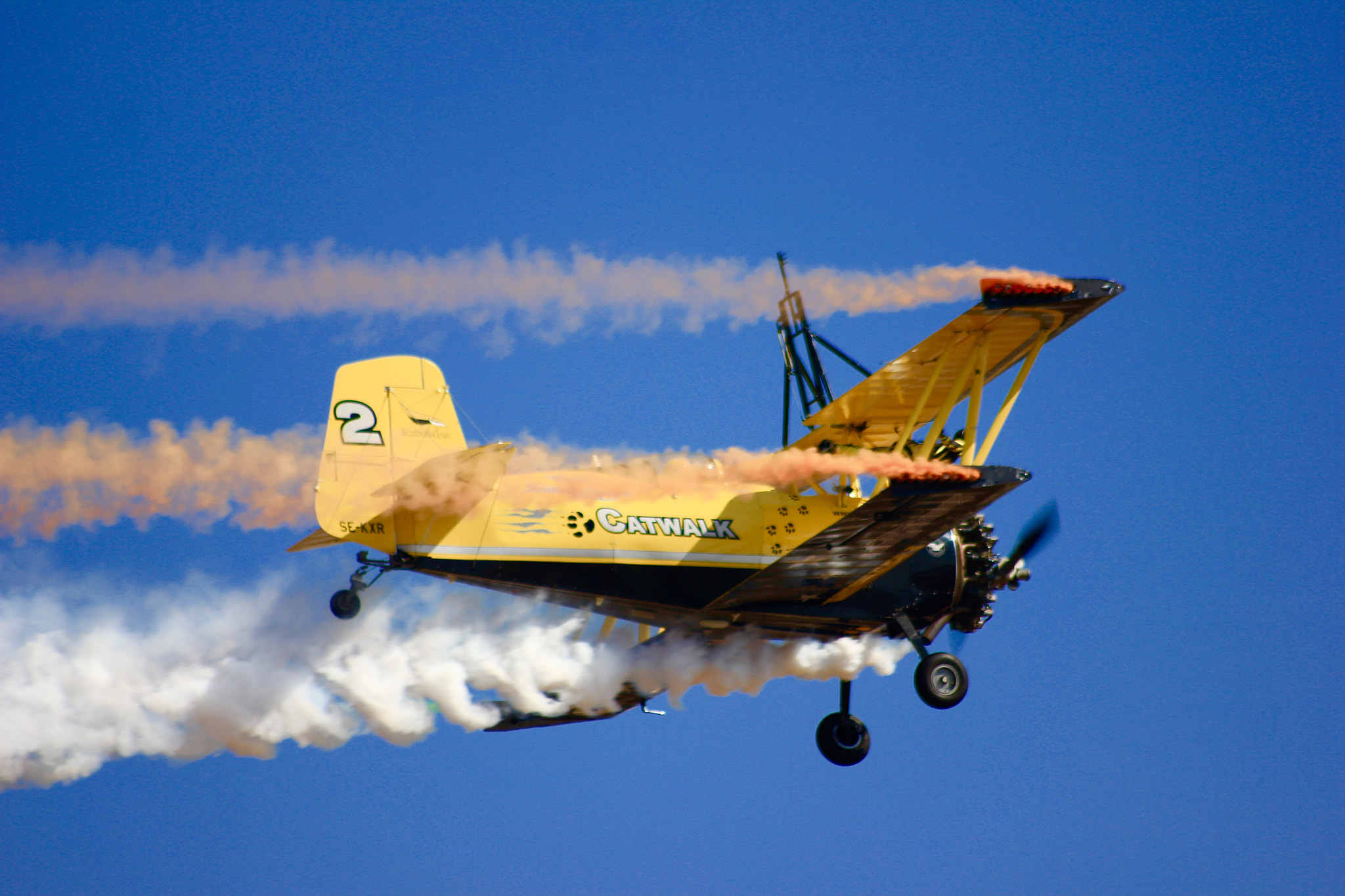 Canon EOS 550D (EOS Rebel T2i / EOS Kiss X4) sample photo. Aerobatics photography