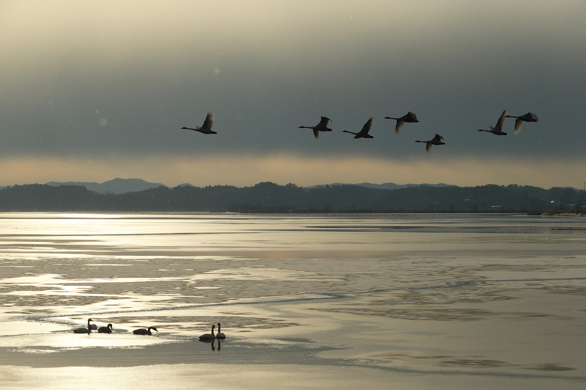 Canon EF 70-200mm F2.8L USM sample photo. Go north photography
