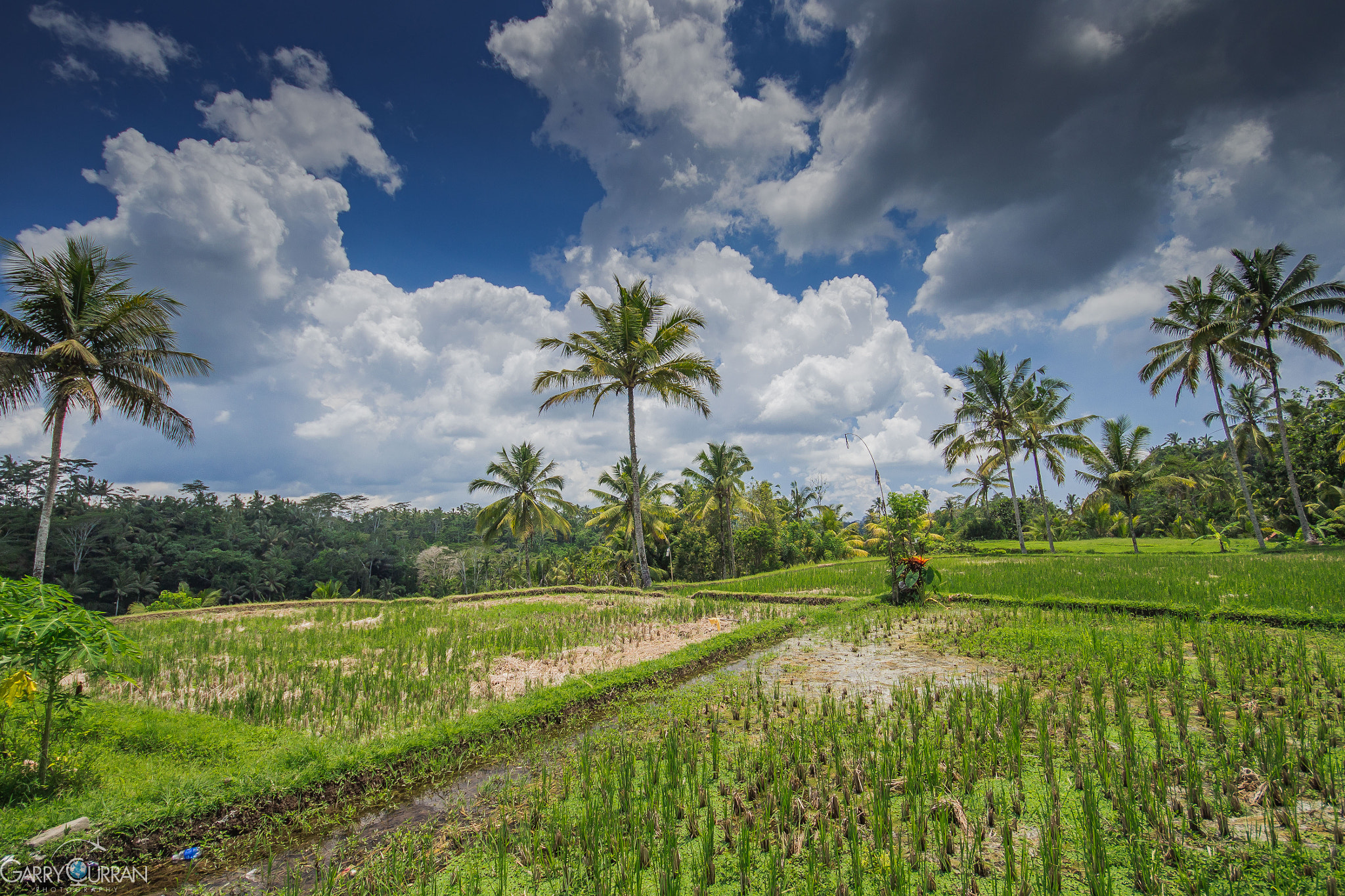 Canon EOS 700D (EOS Rebel T5i / EOS Kiss X7i) + Sigma 10-20mm F4-5.6 EX DC HSM sample photo. Paradise in bali photography