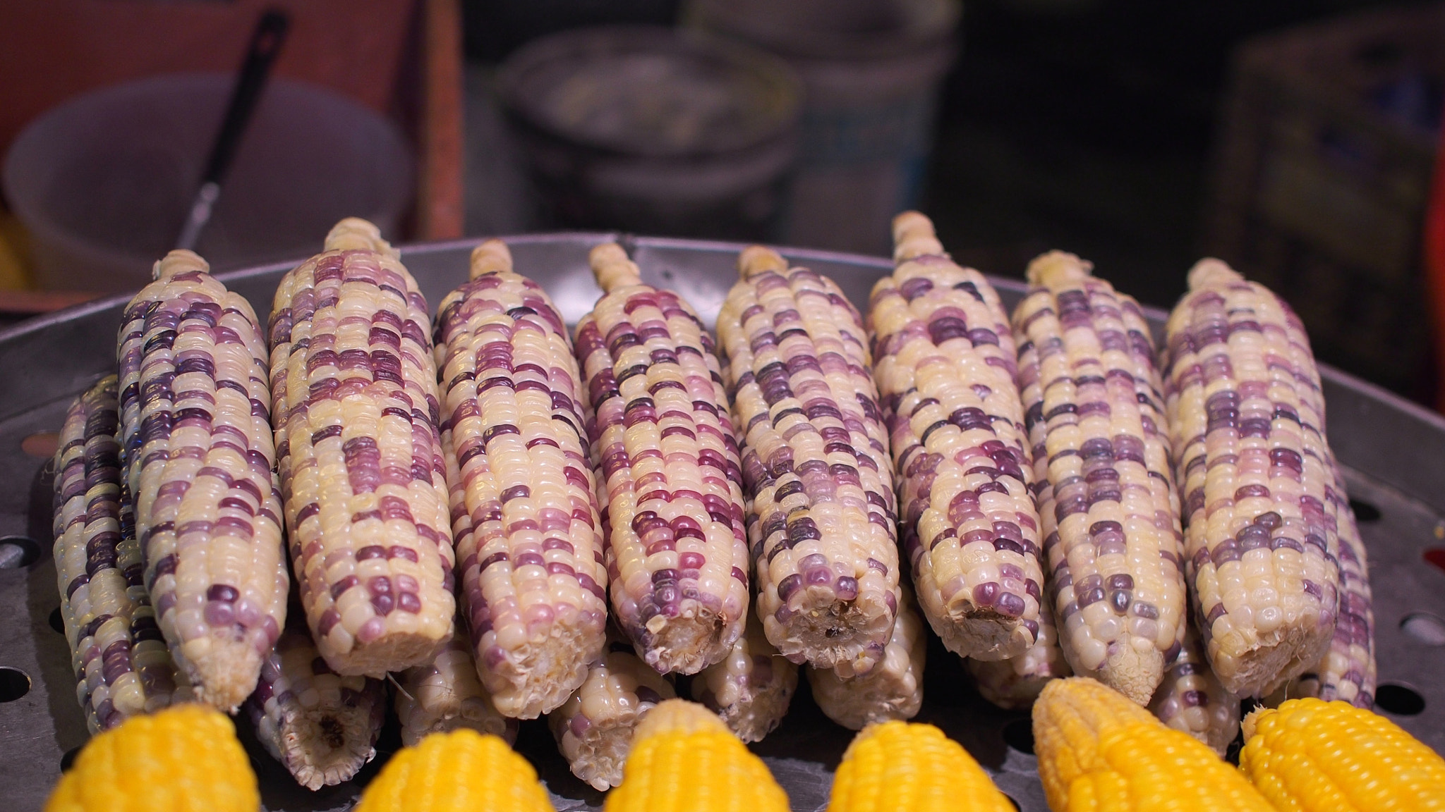 Olympus OM-D E-M5 + Olympus M.Zuiko Digital 25mm F1.8 sample photo. Spotted corn photography