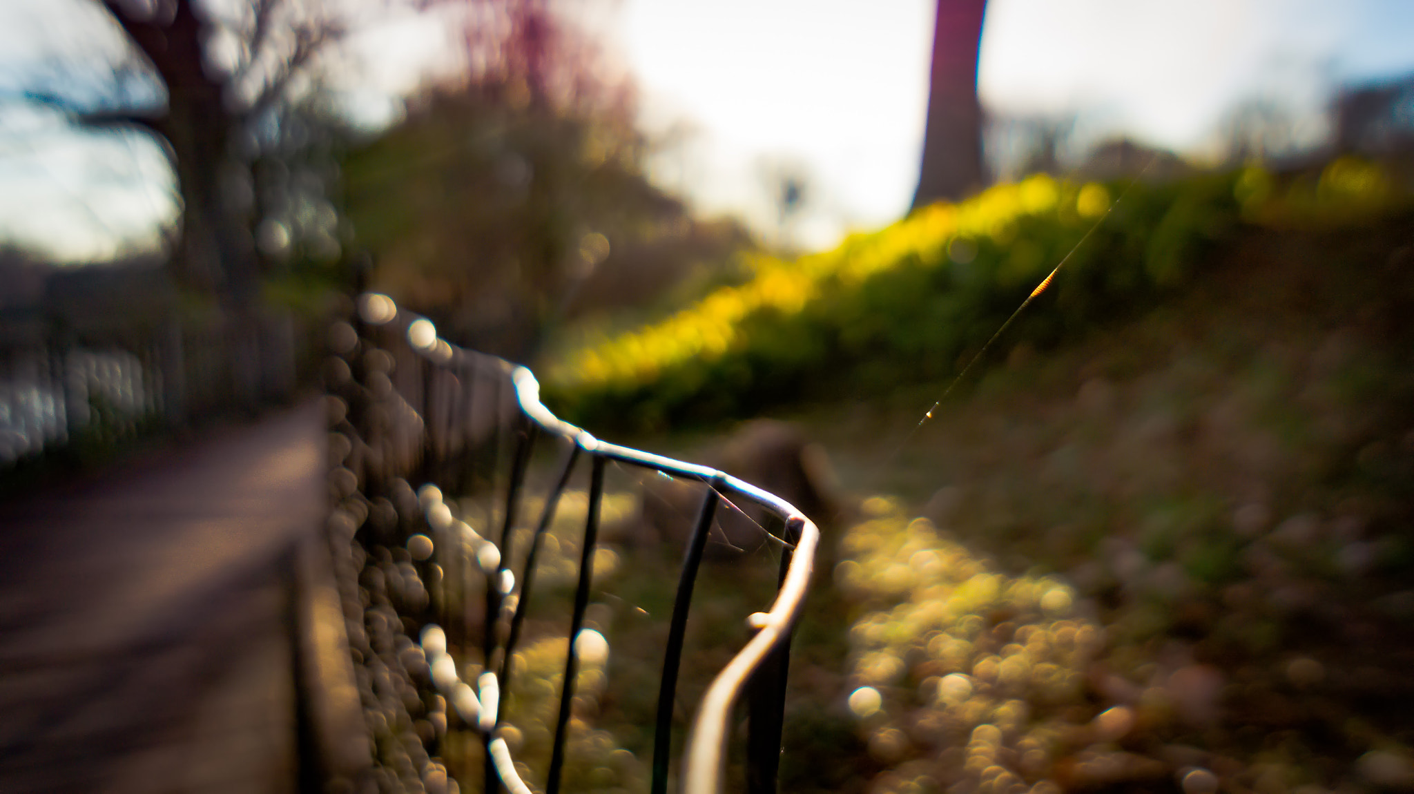 Sony Alpha a3000 + Sony E 16mm F2.8 sample photo. Rail with web photography