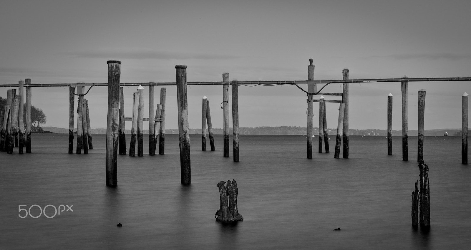 Sony a7R II + Sony FE 70-300mm F4.5-5.6 G OSS sample photo. Belfast pier photography