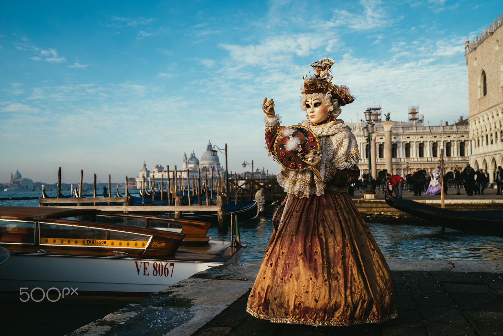 Sony a7S + Sony Vario Tessar T* FE 24-70mm F4 ZA OSS sample photo. The carnival of venice photography